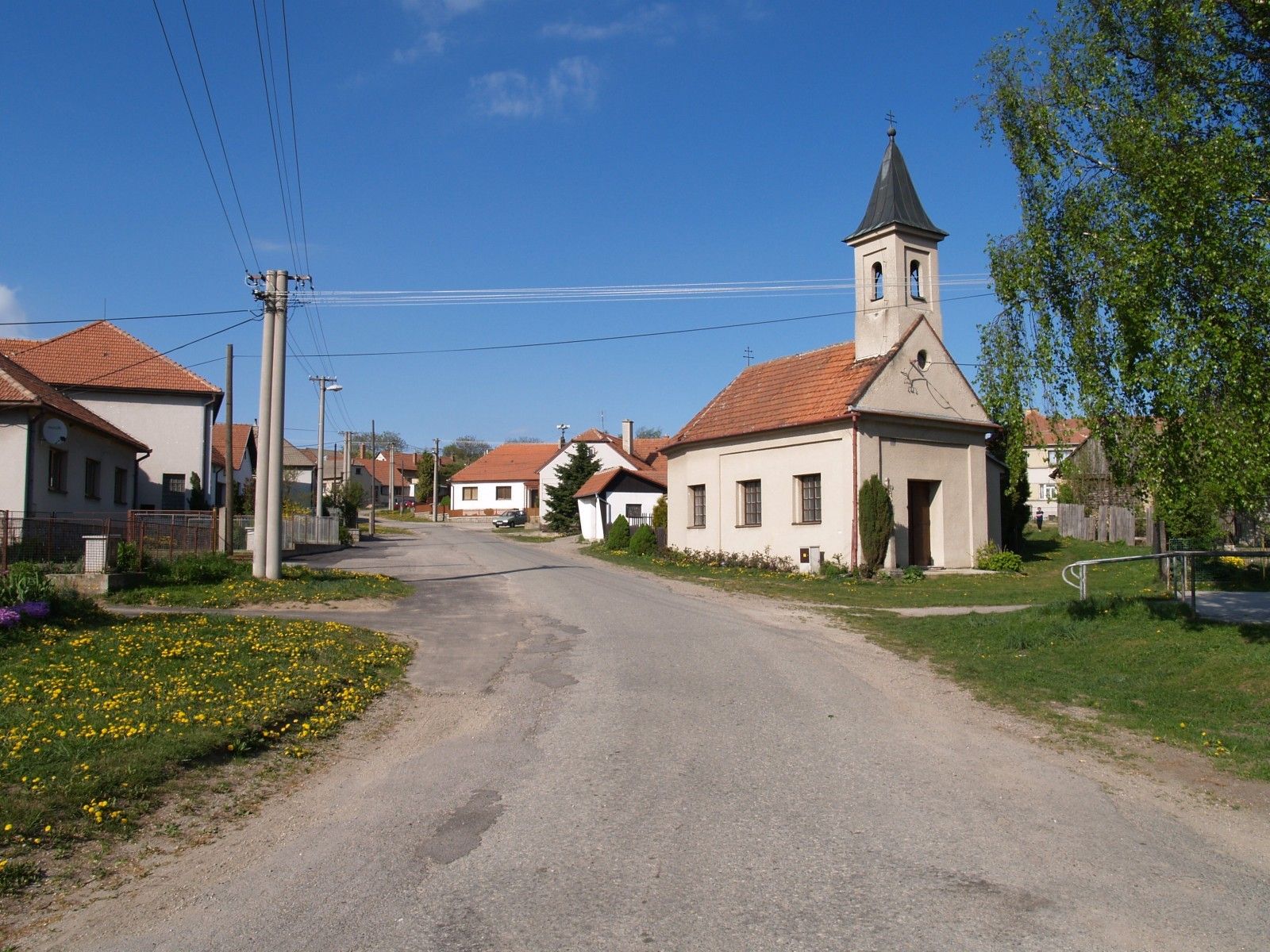 n7BgPm.jpeg?fl=res,2200,2200,1