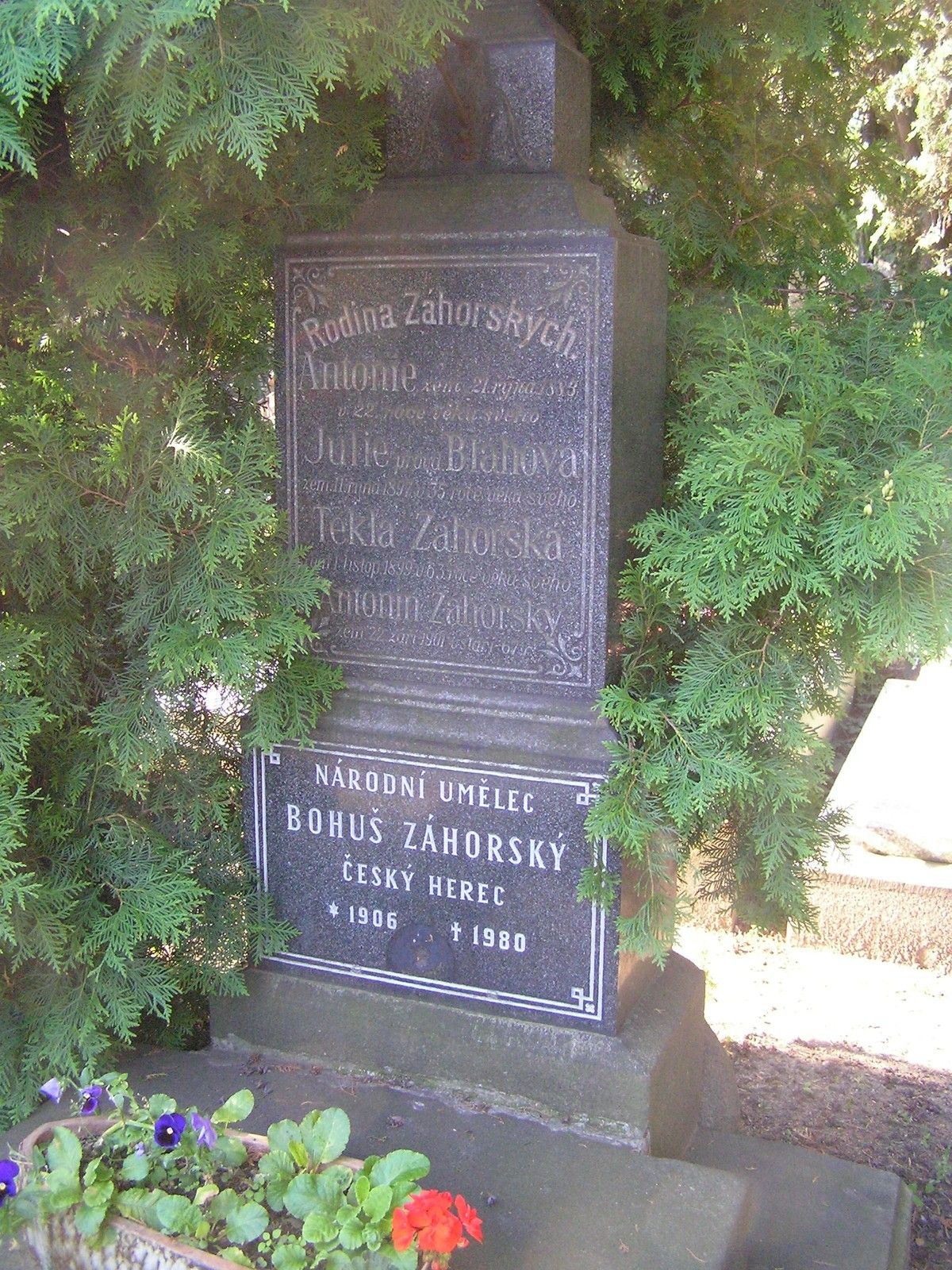 TJ0g70.jpeg?fl=res,2200,2200,1