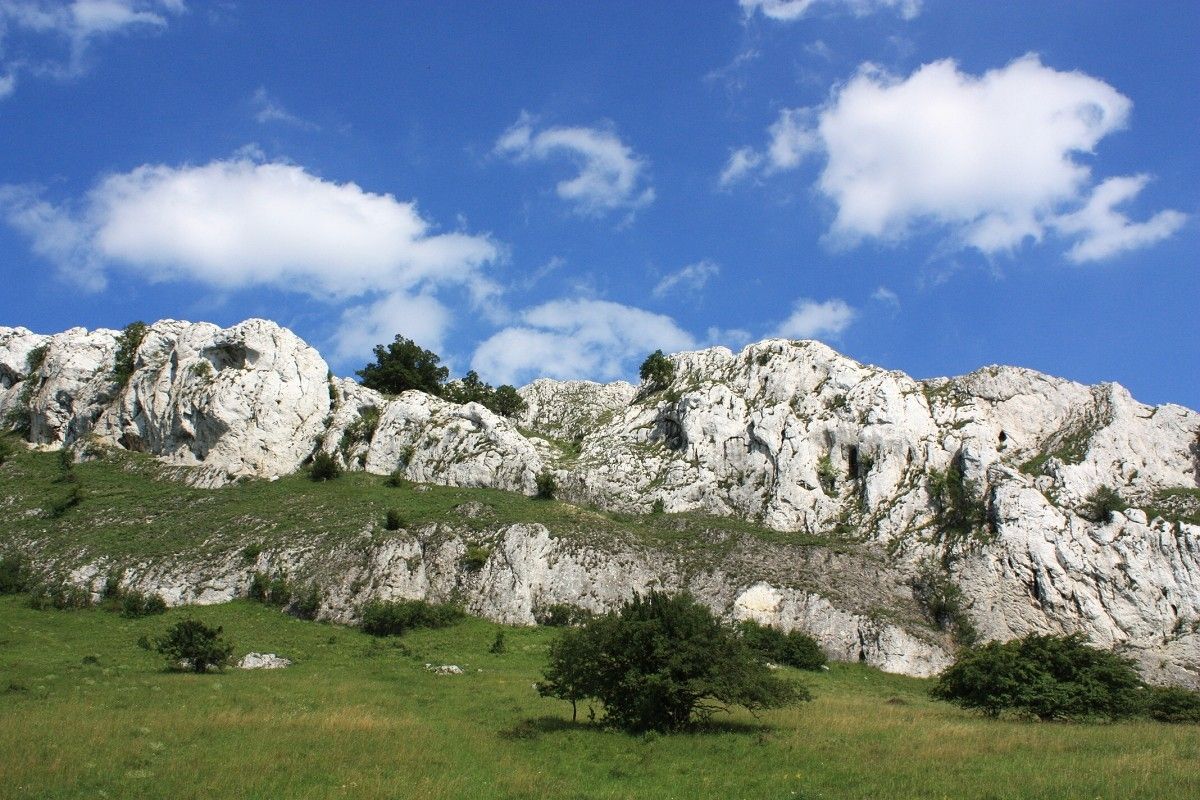 db3egM.jpeg?fl=res,2200,2200,1