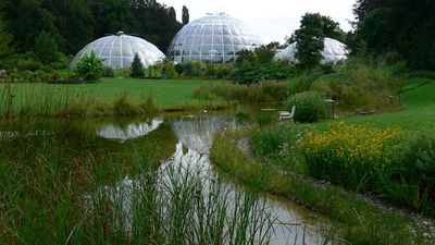 Botanical Garden Of The University Of Zurich Botanical Garden Arboretum Mapy Cz