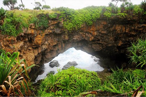 Photos • Tonga (Country) • Mapy.com
