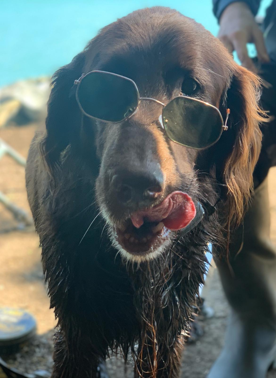 CHOVATELSKÉ POTŘEBY KREJČÍ foto 2