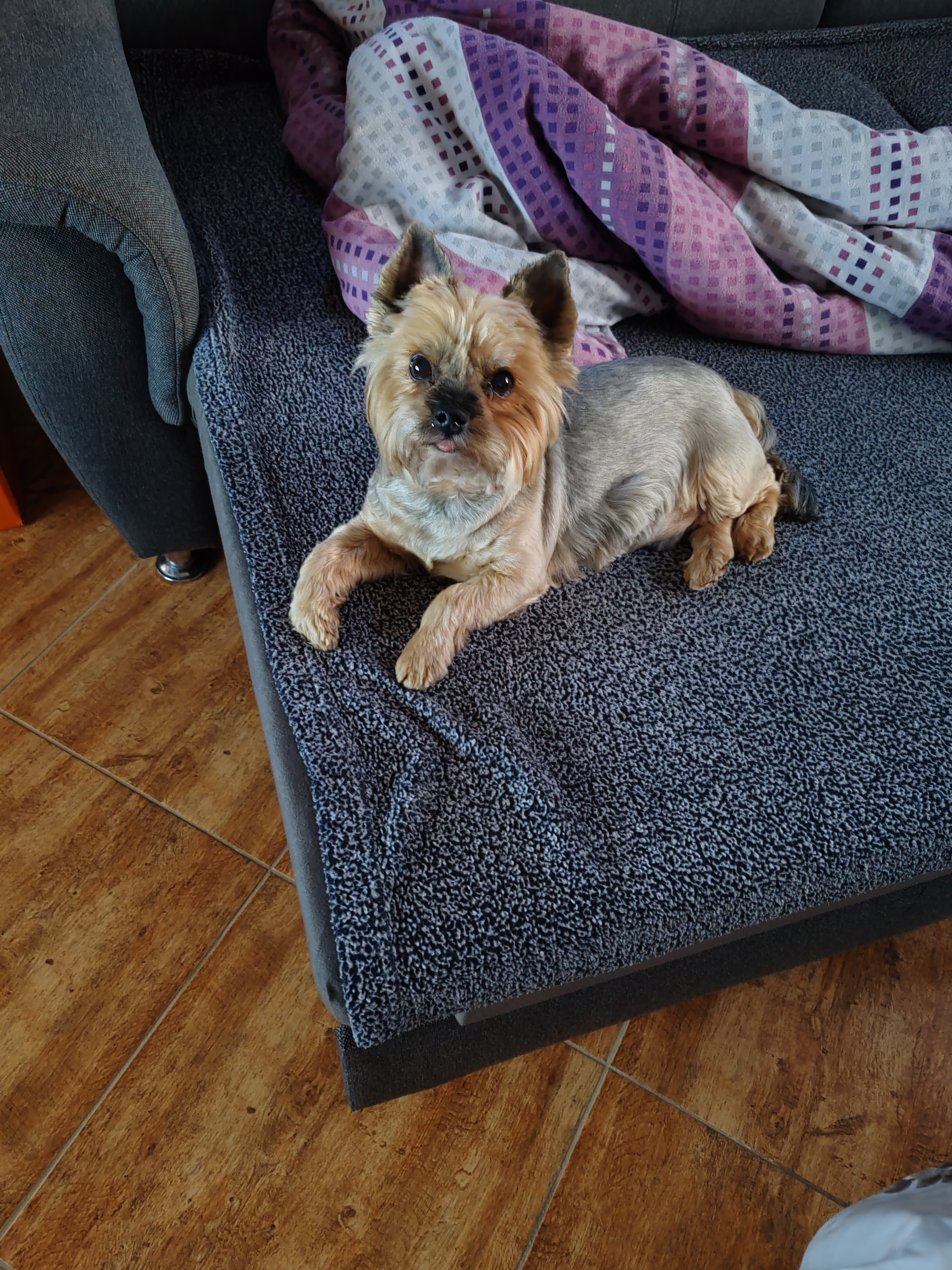 MVDr. Martina Halbichová Vítová foto 3