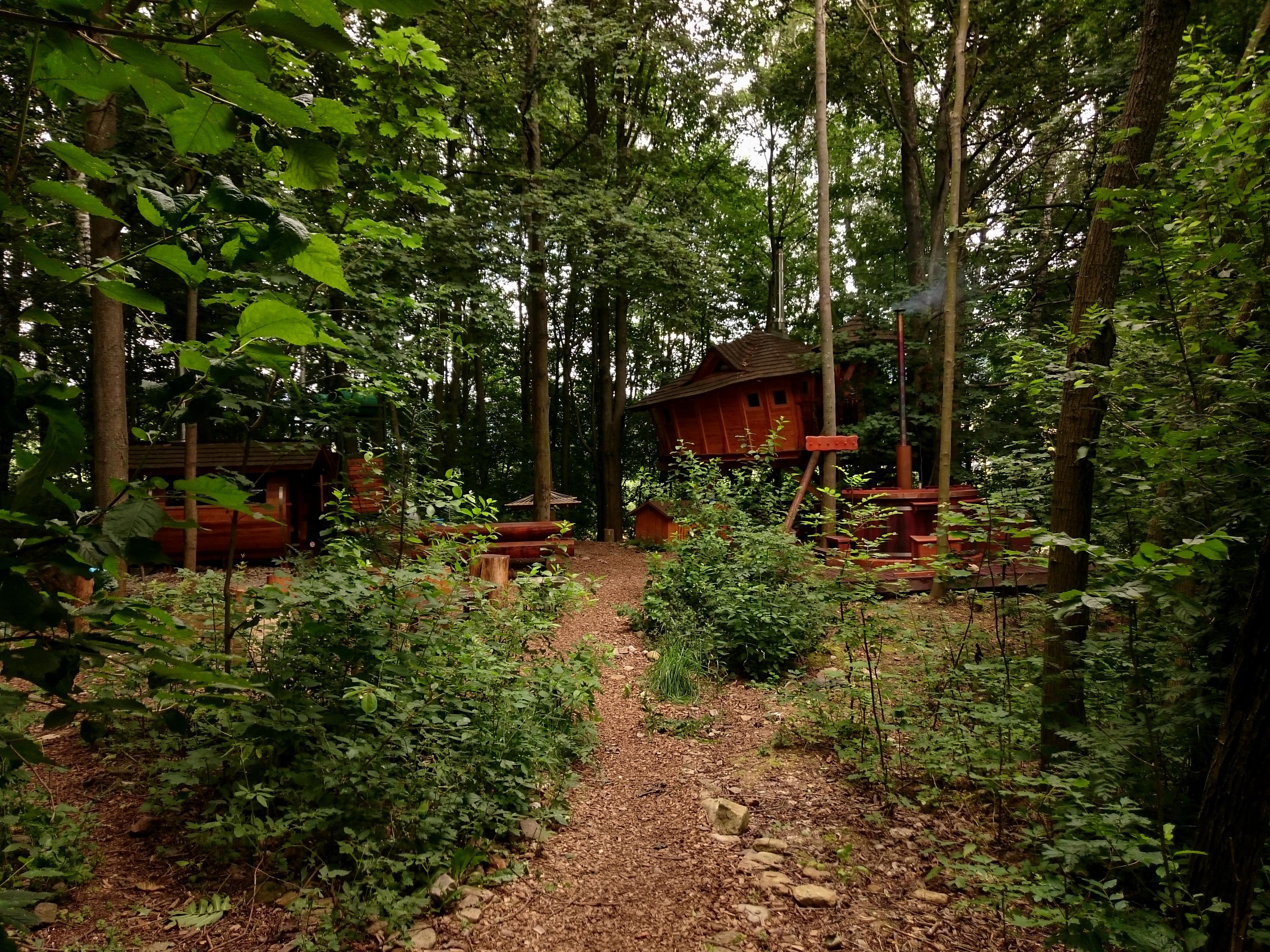 Tree Houses Sněžník foto 6
