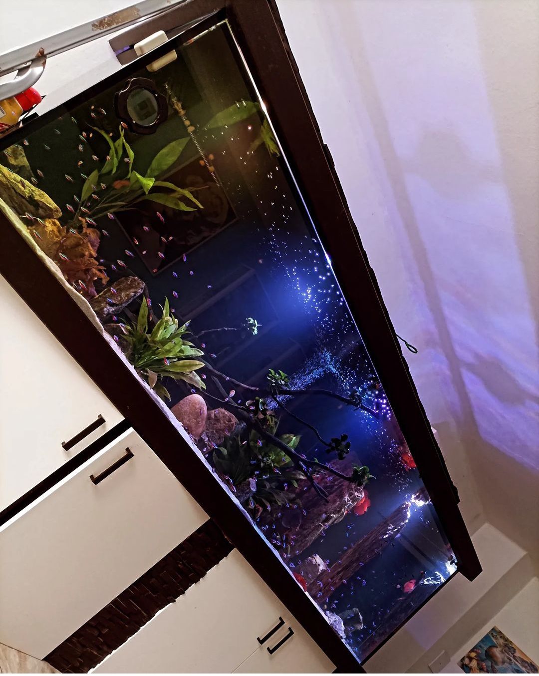 Sklenářství Gabriela Kaplanová foto 2