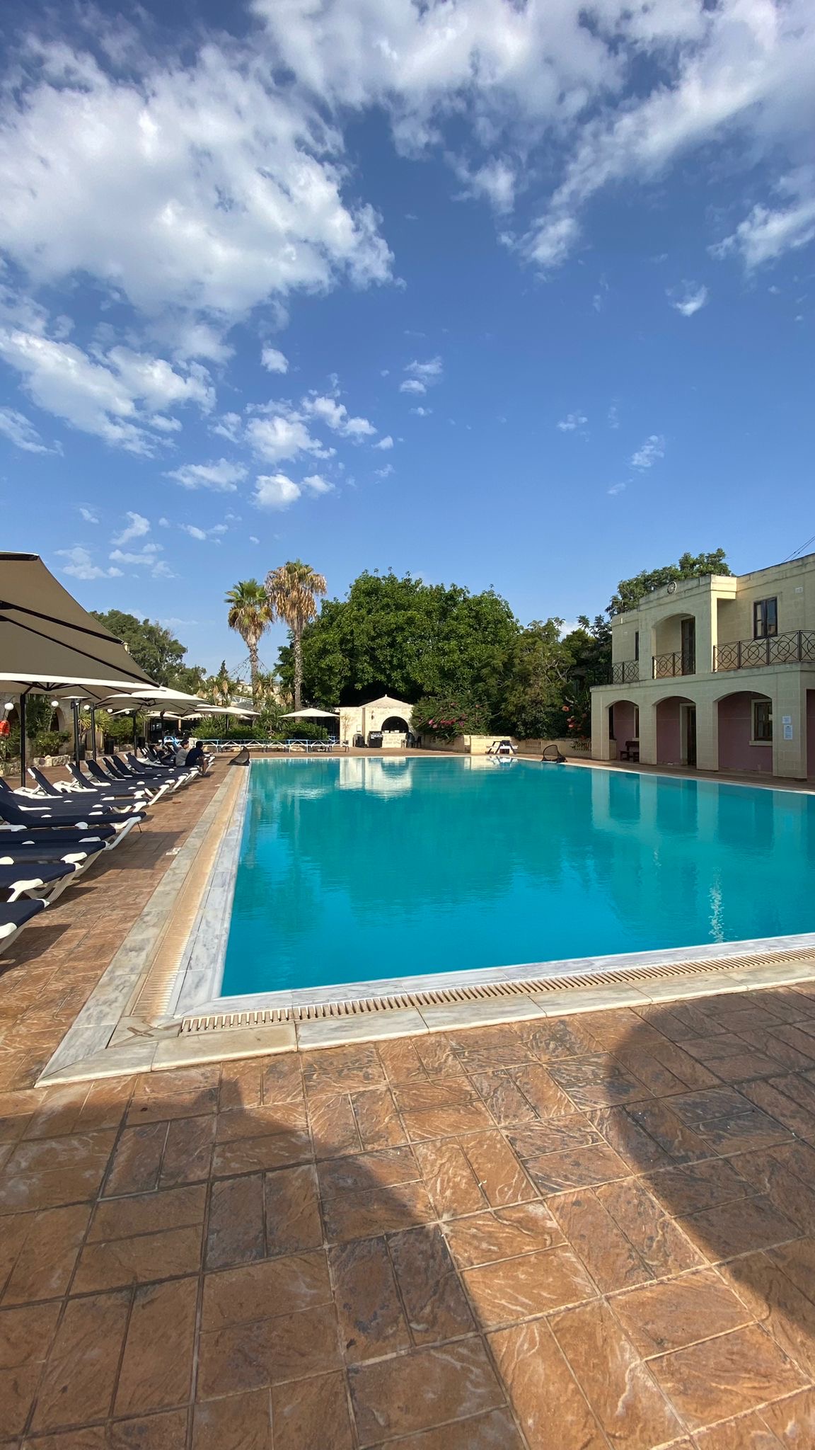 Agentura a jazyková škola STUDYLINE foto 5