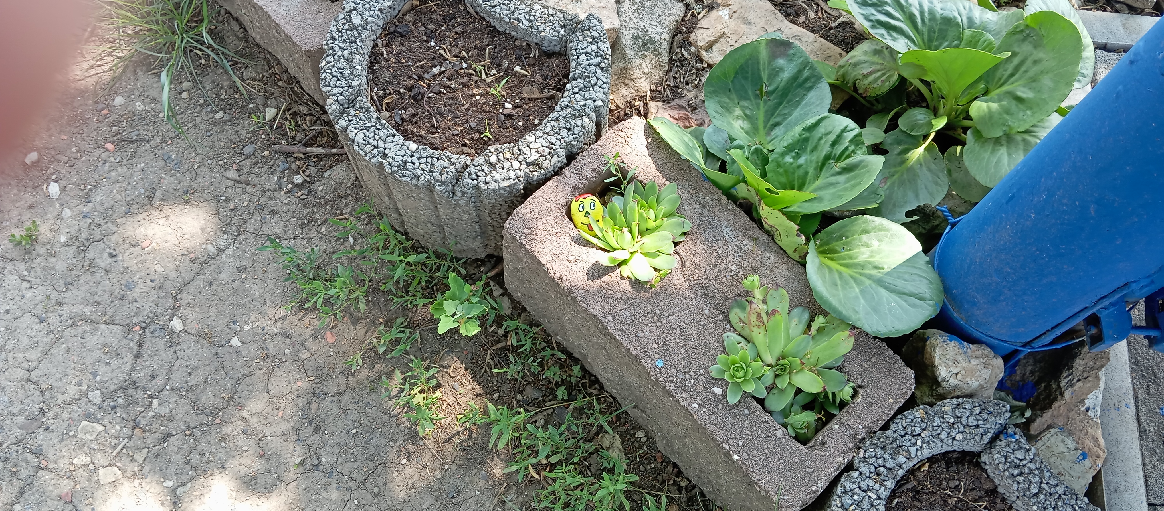 Občerstvení u čerpací stanice Chrášťany foto 2