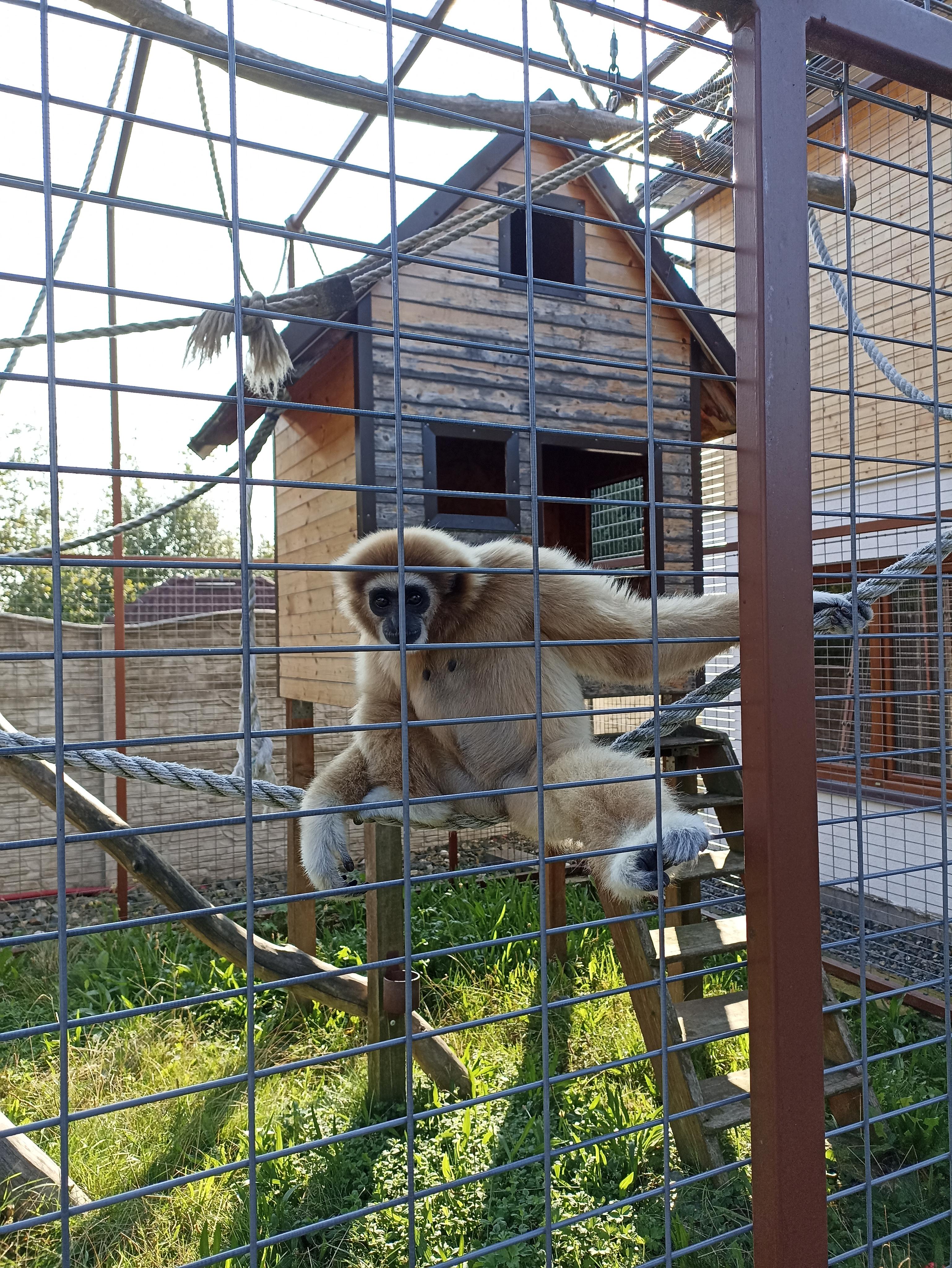 Penzion FaunaPark foto 3