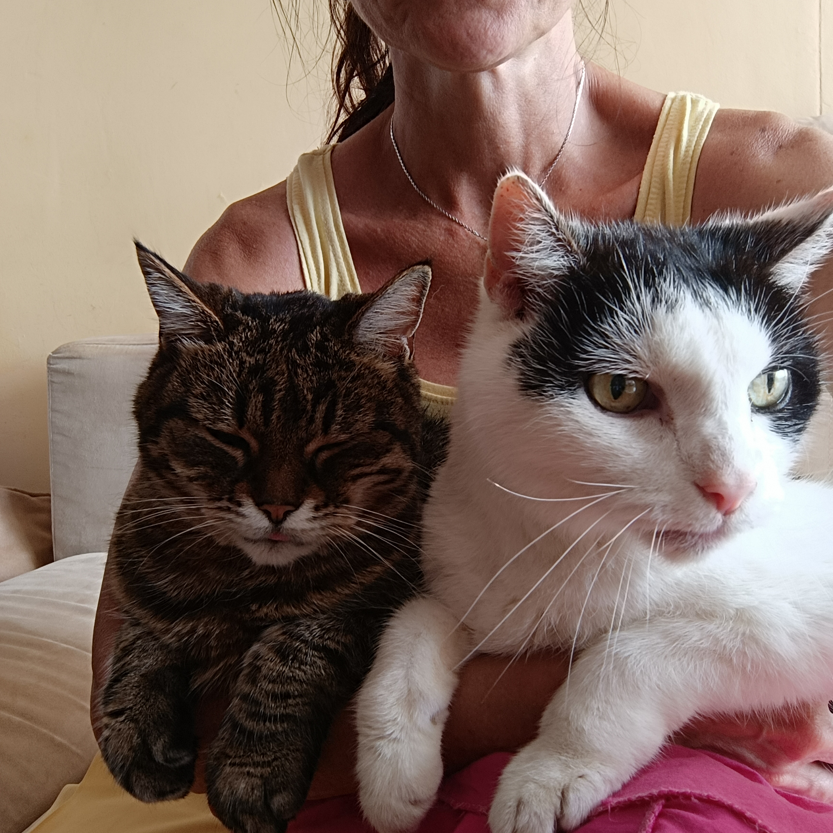 Veterinární ordinace MVDr. František Břeň foto 2