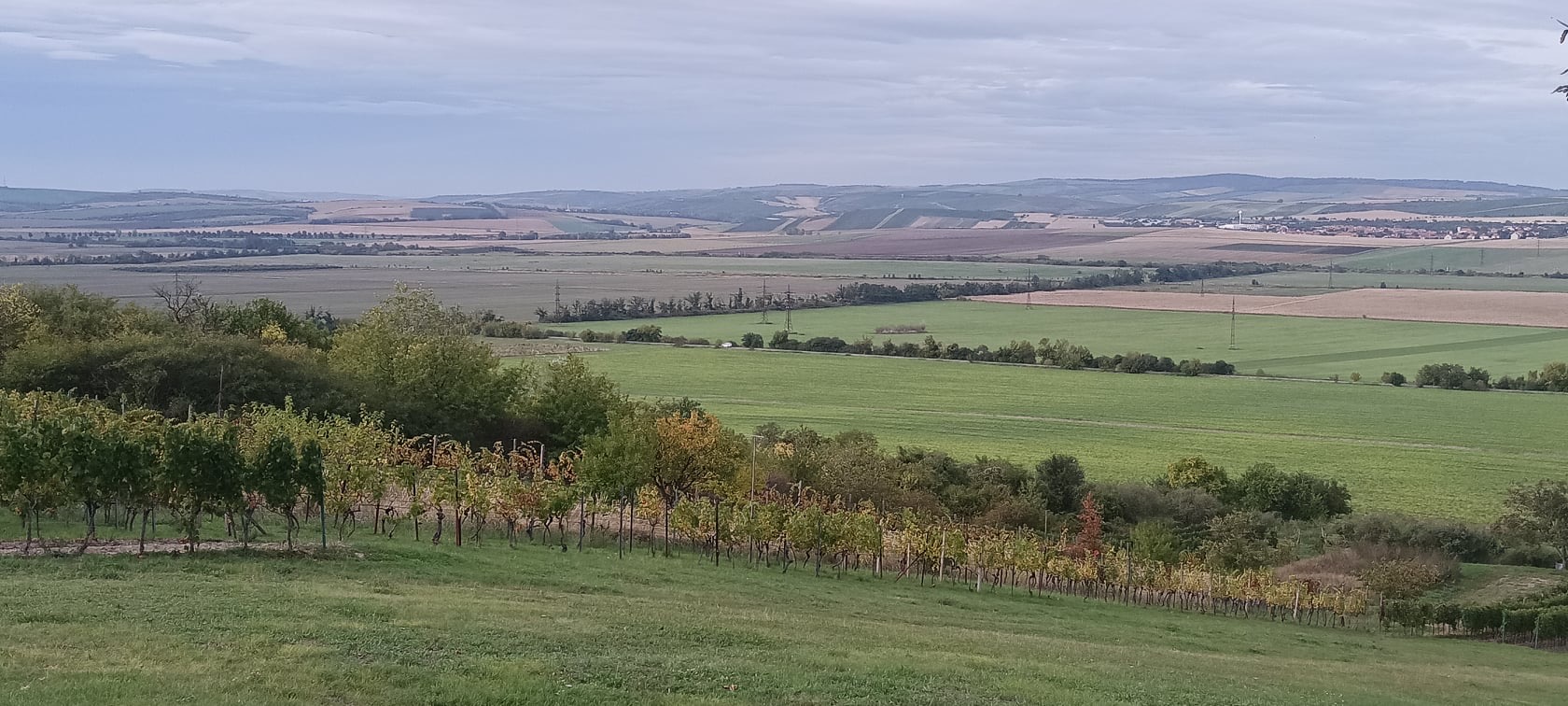 Penzion U Palečků foto 6