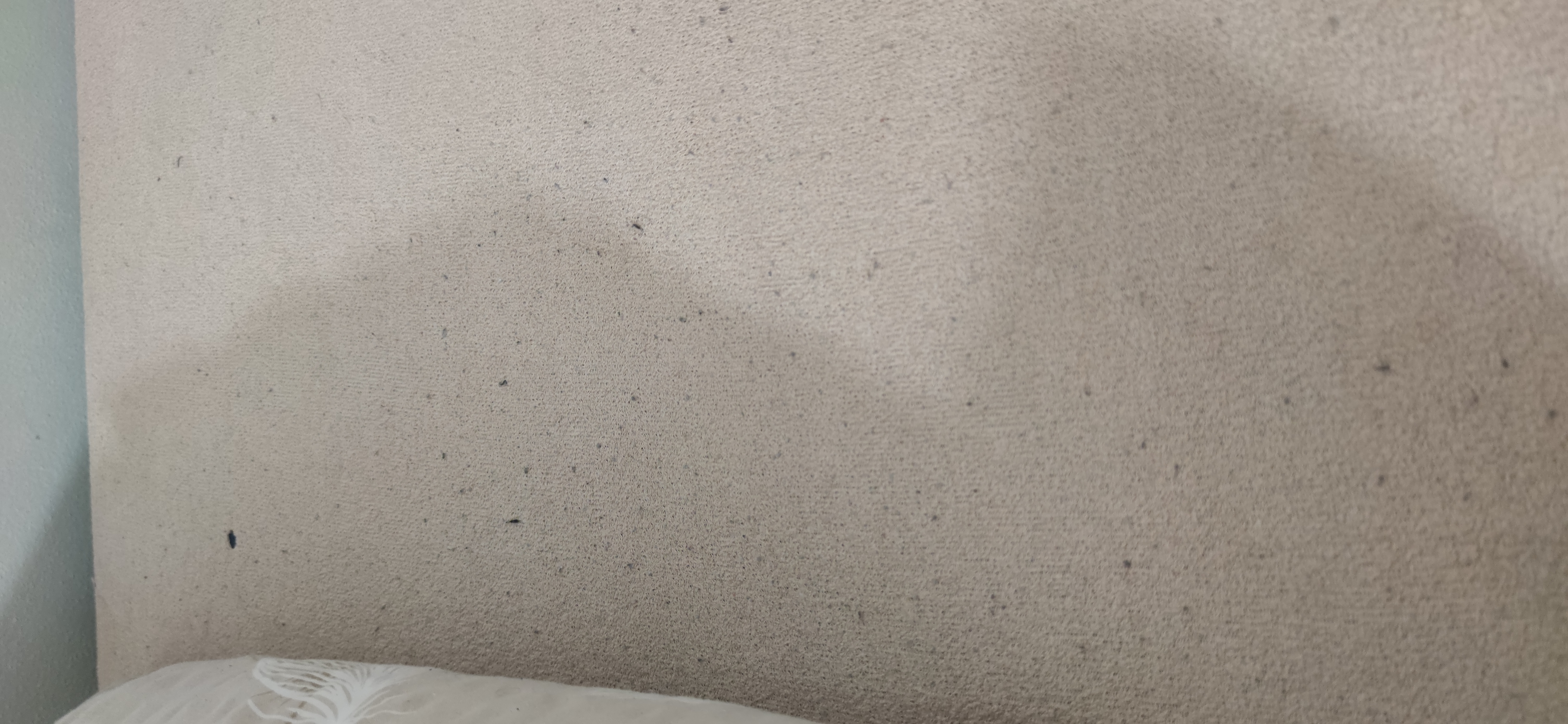 Ubytování ve žlíbku foto 4