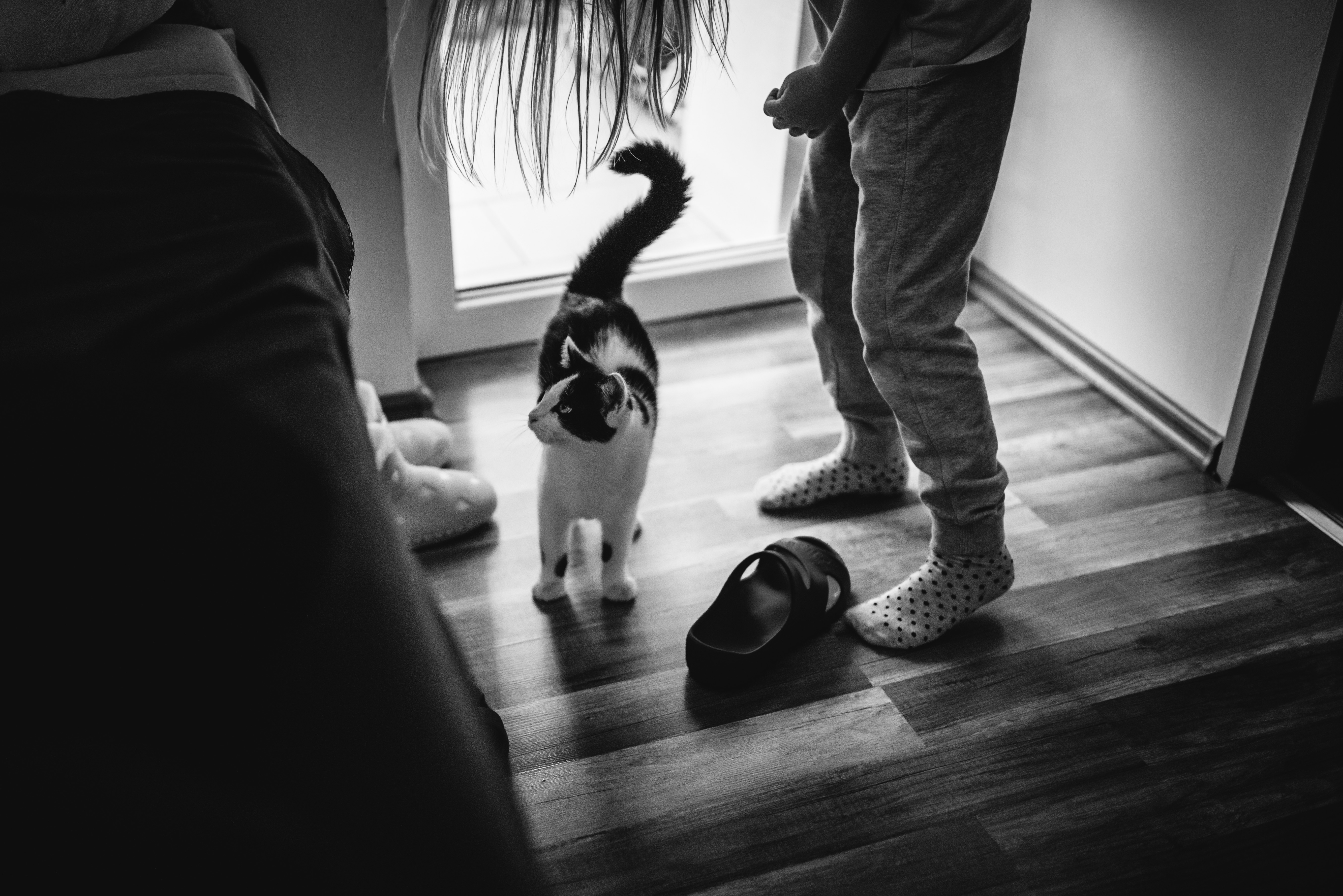 Fotografka Veronika Kružíková foto 5