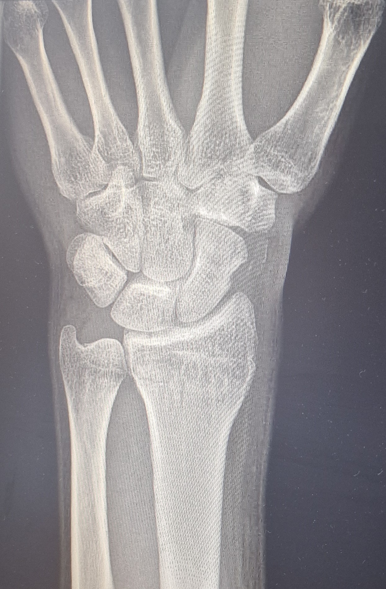FYZIOMEDICAL s.r.o. foto 2
