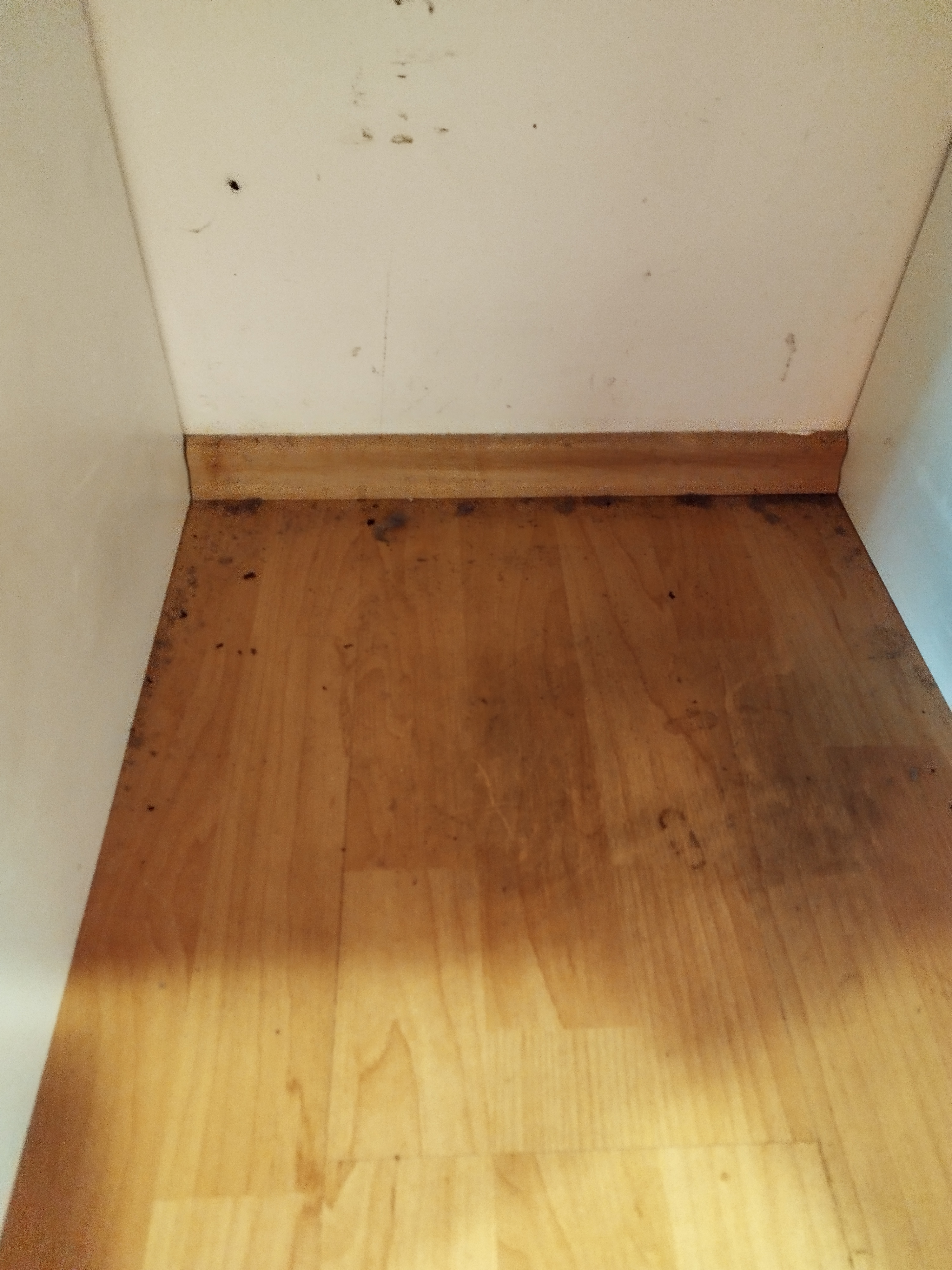 Úklidové služby Zuzana Facková foto 4