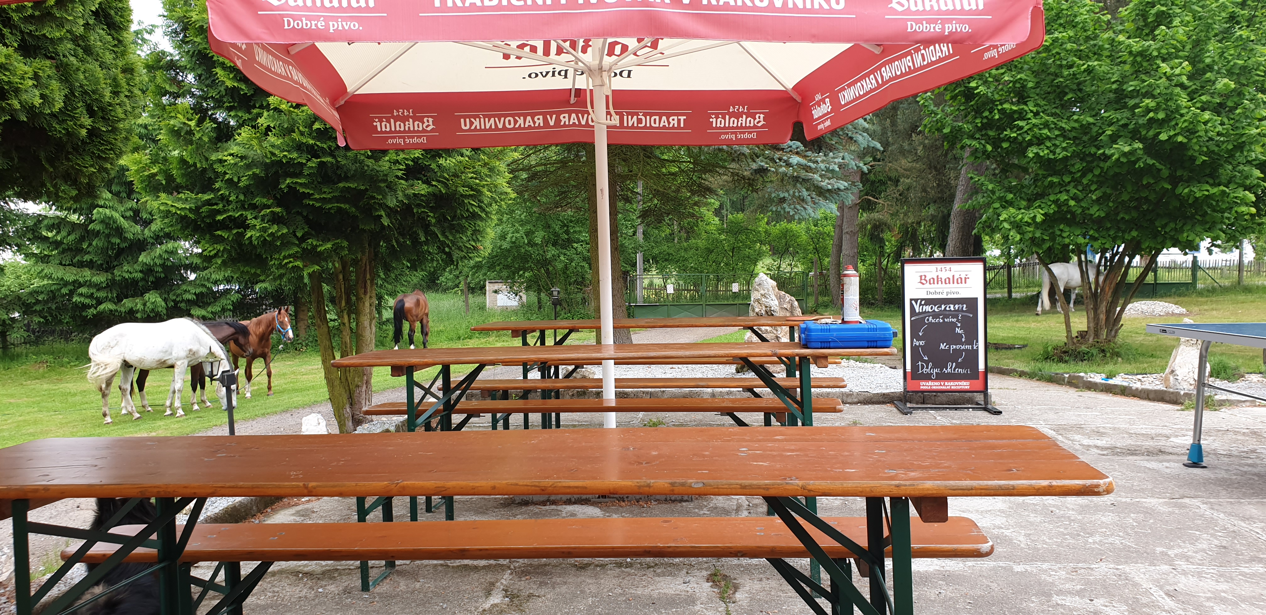 Penzion U Statku foto 6