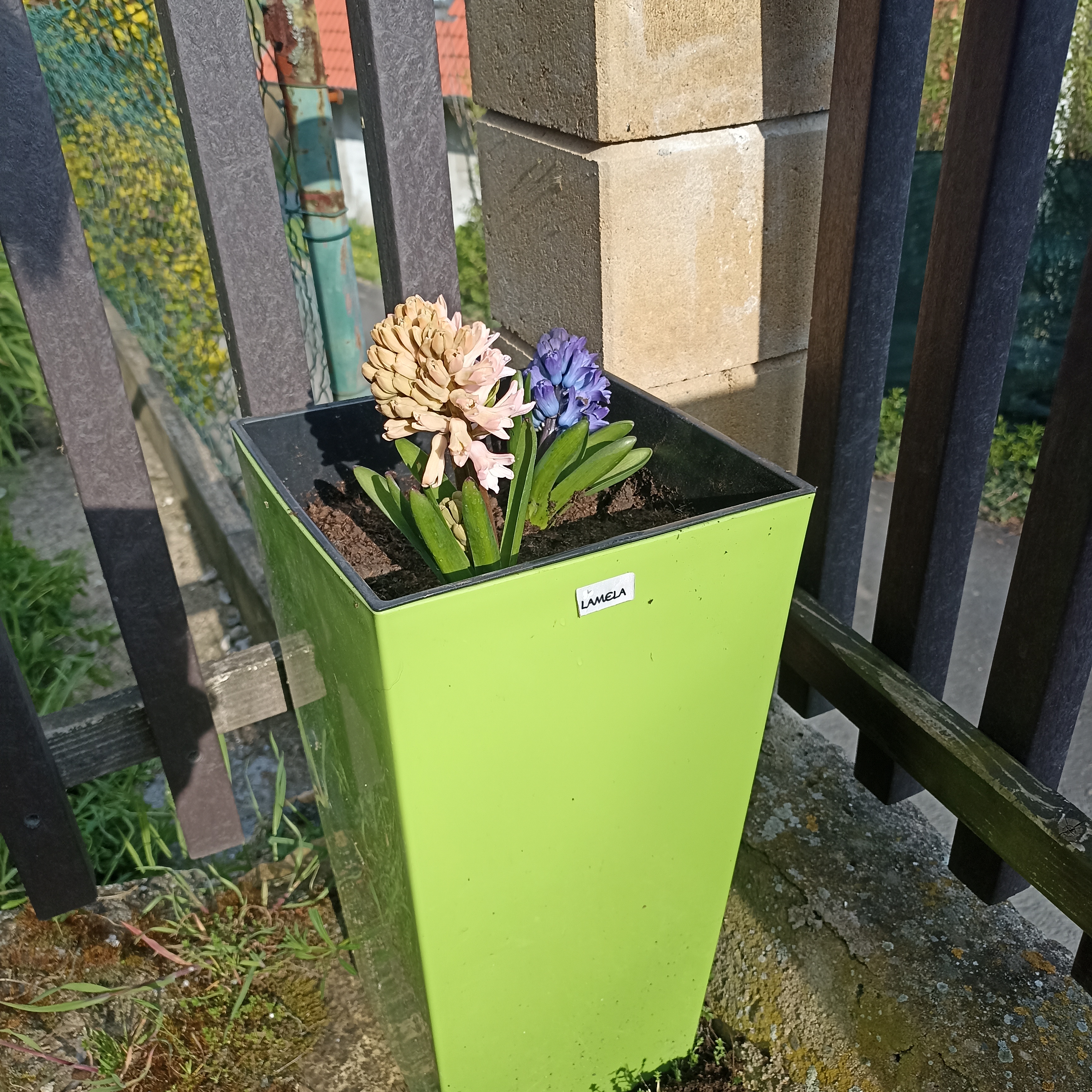 Zahradnictví u Níčů foto 6