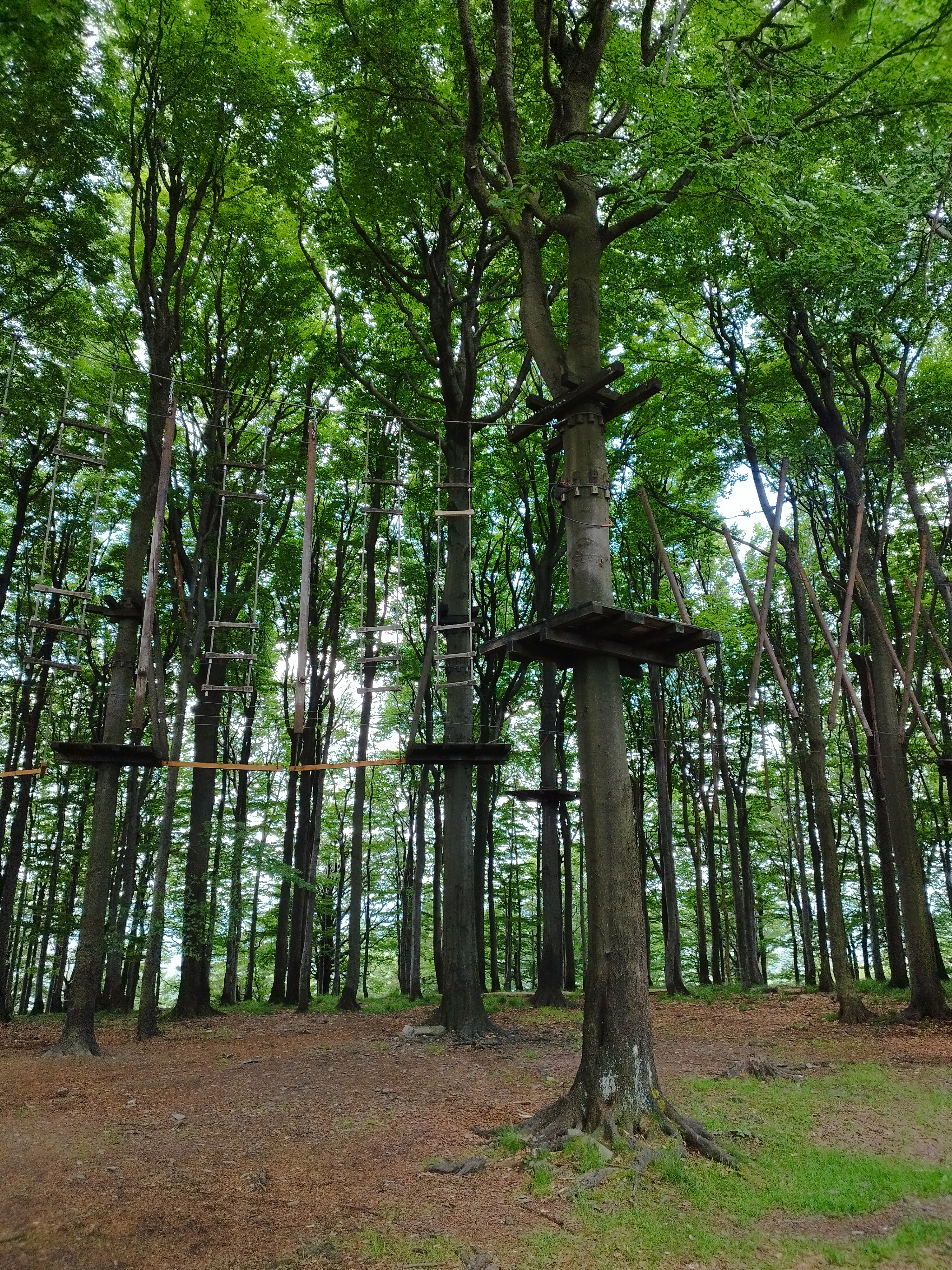 Lanový park Jedlová foto 5