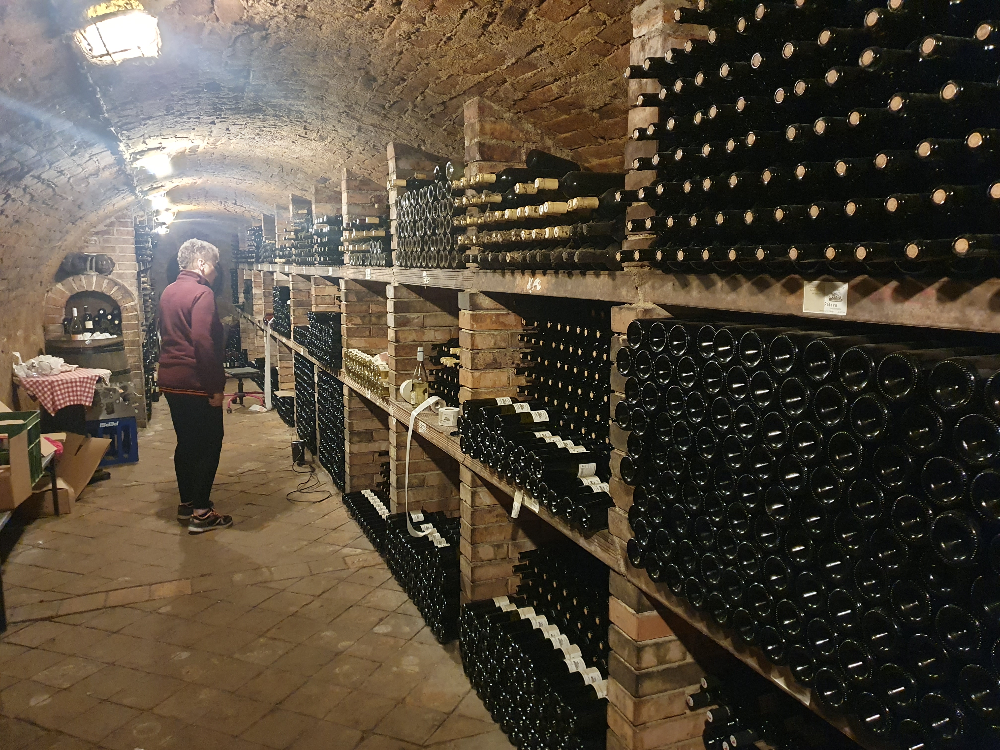 Vinařství Dwořáček foto 3