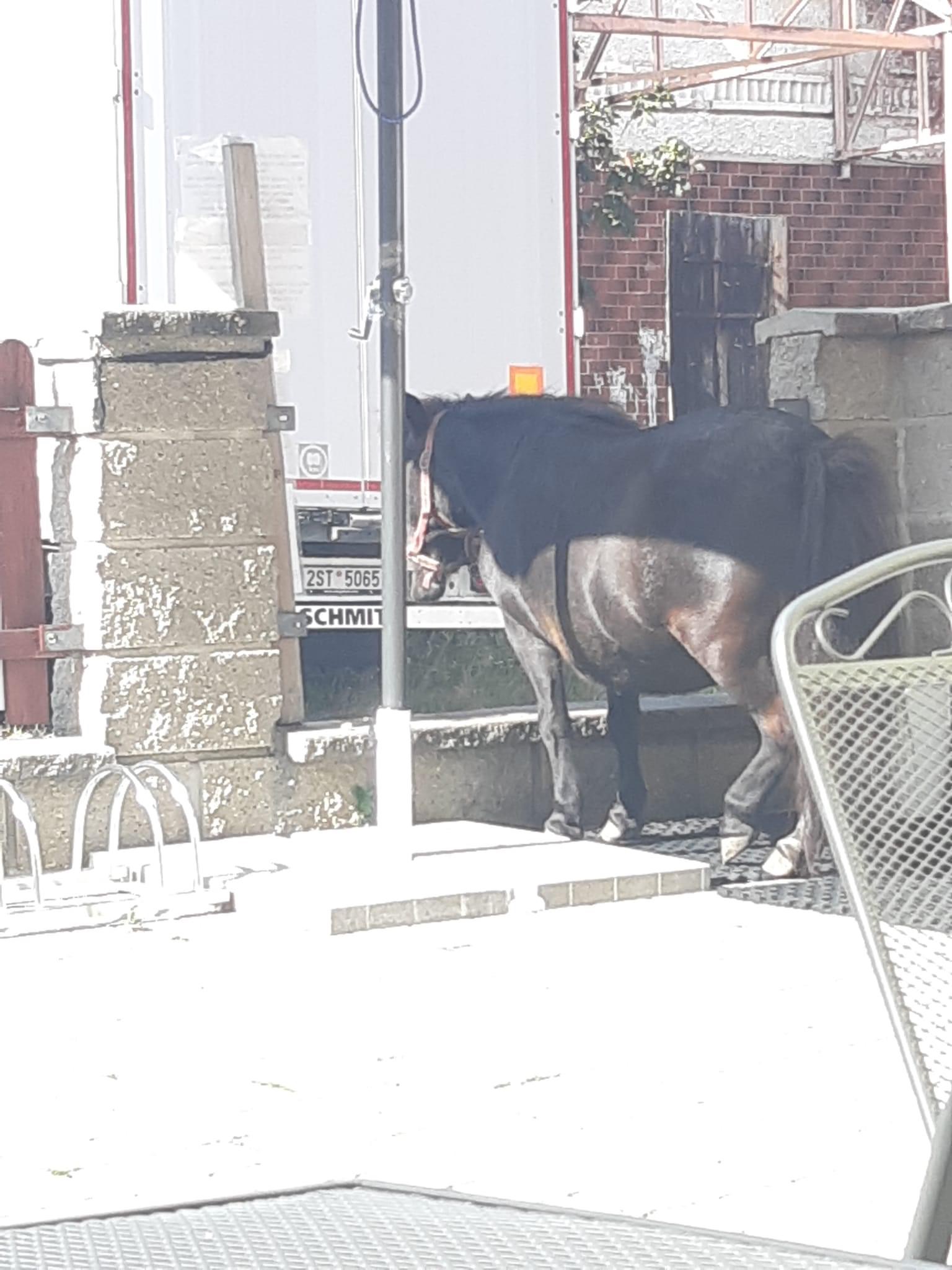 Zmrzlina a Bistro u Fandy foto 5