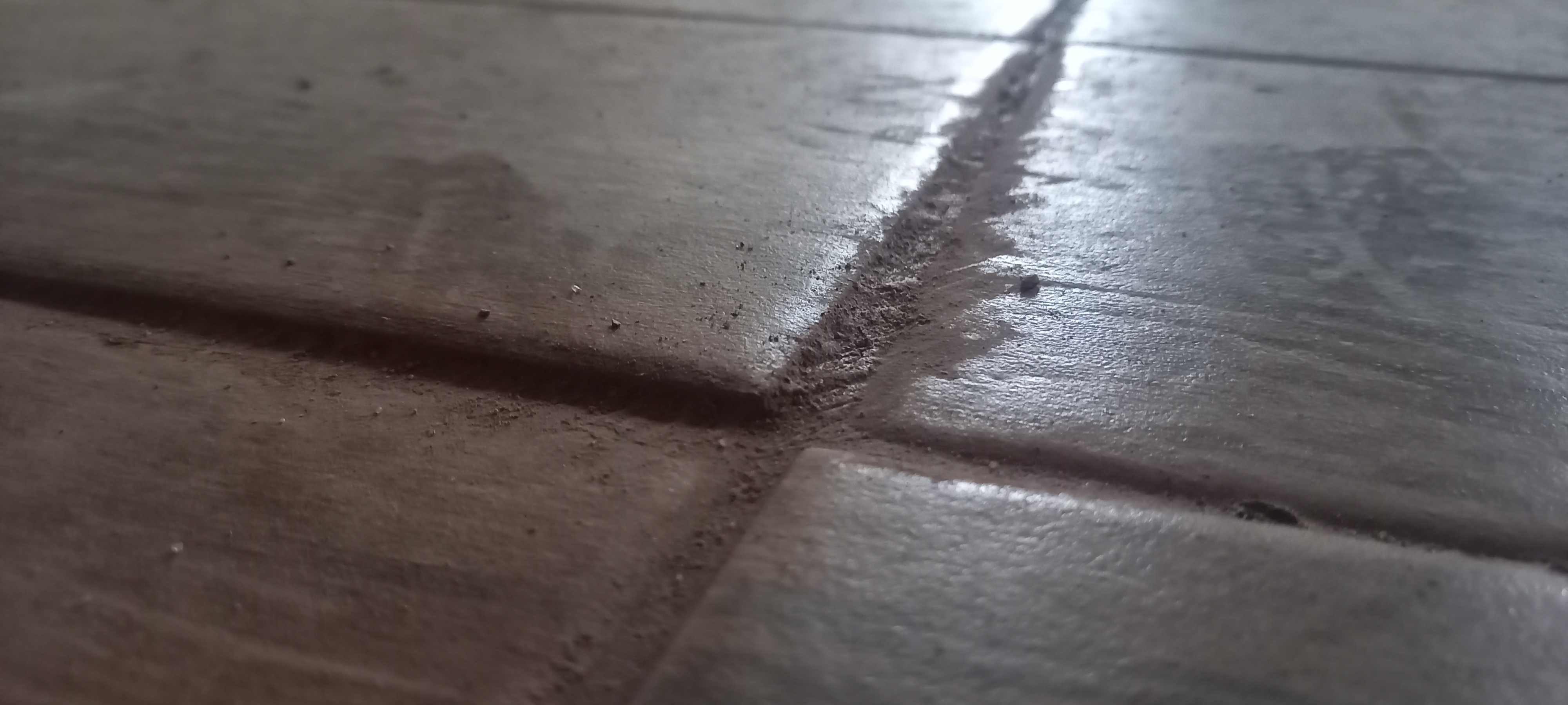 Martin Zábranský - hodinový manžel foto 5