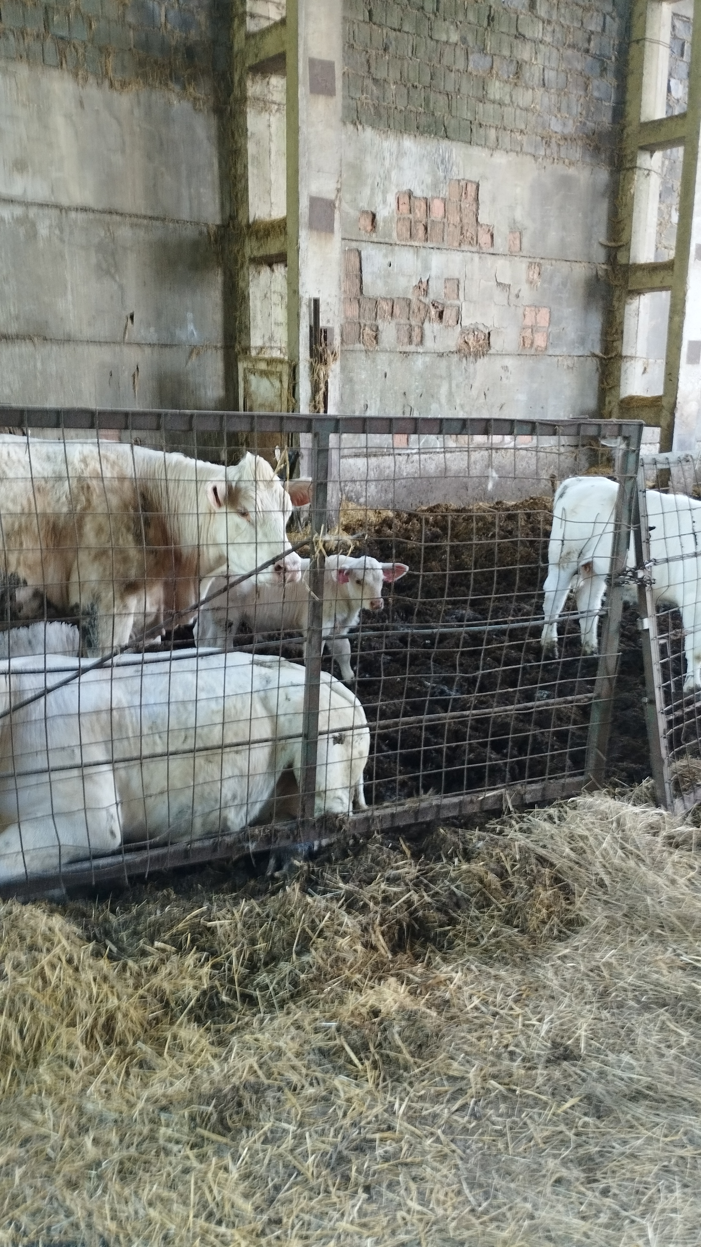 Farma Pěnčín foto 4