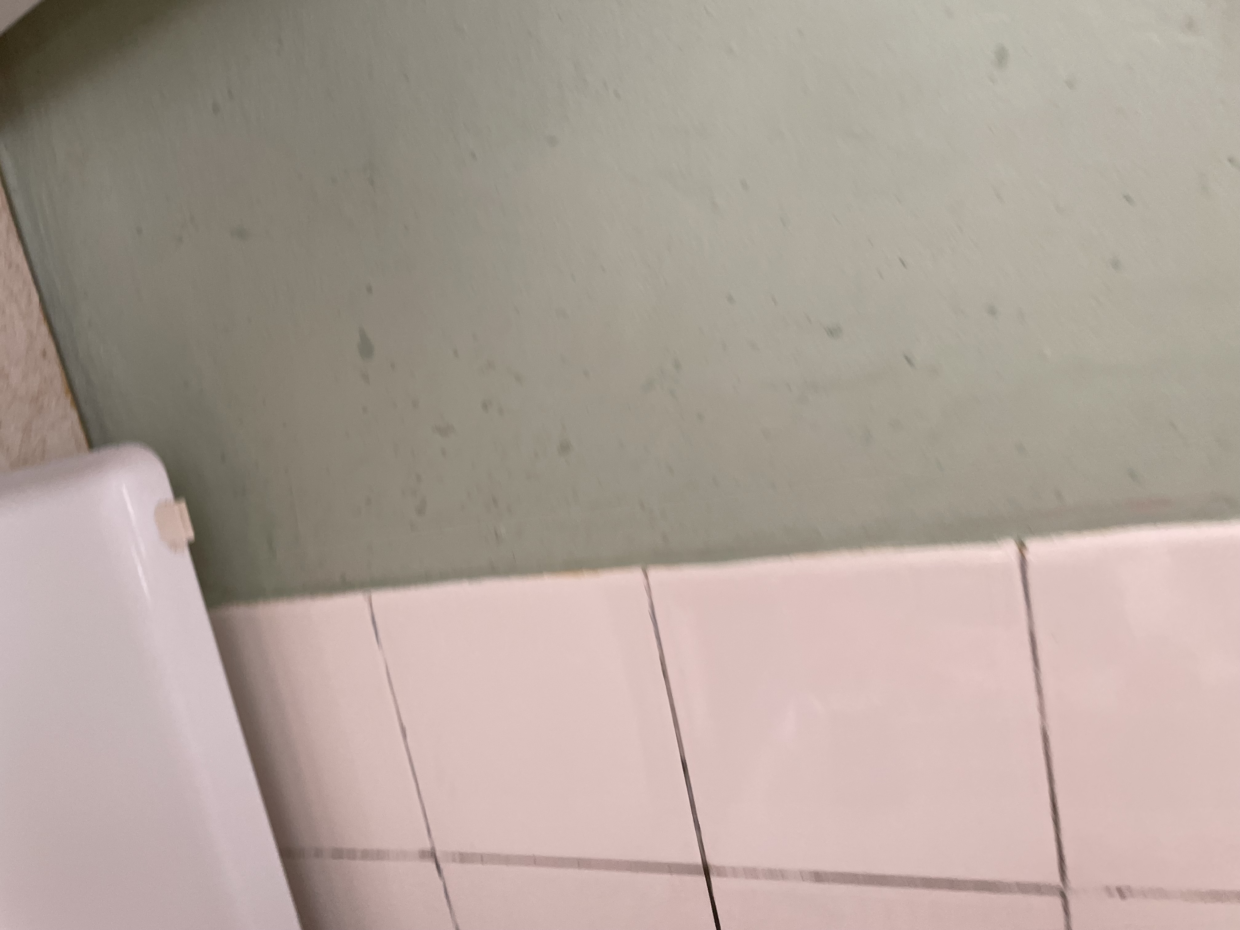 Malířství a natěračství - Gabriela Nevrlová foto 1
