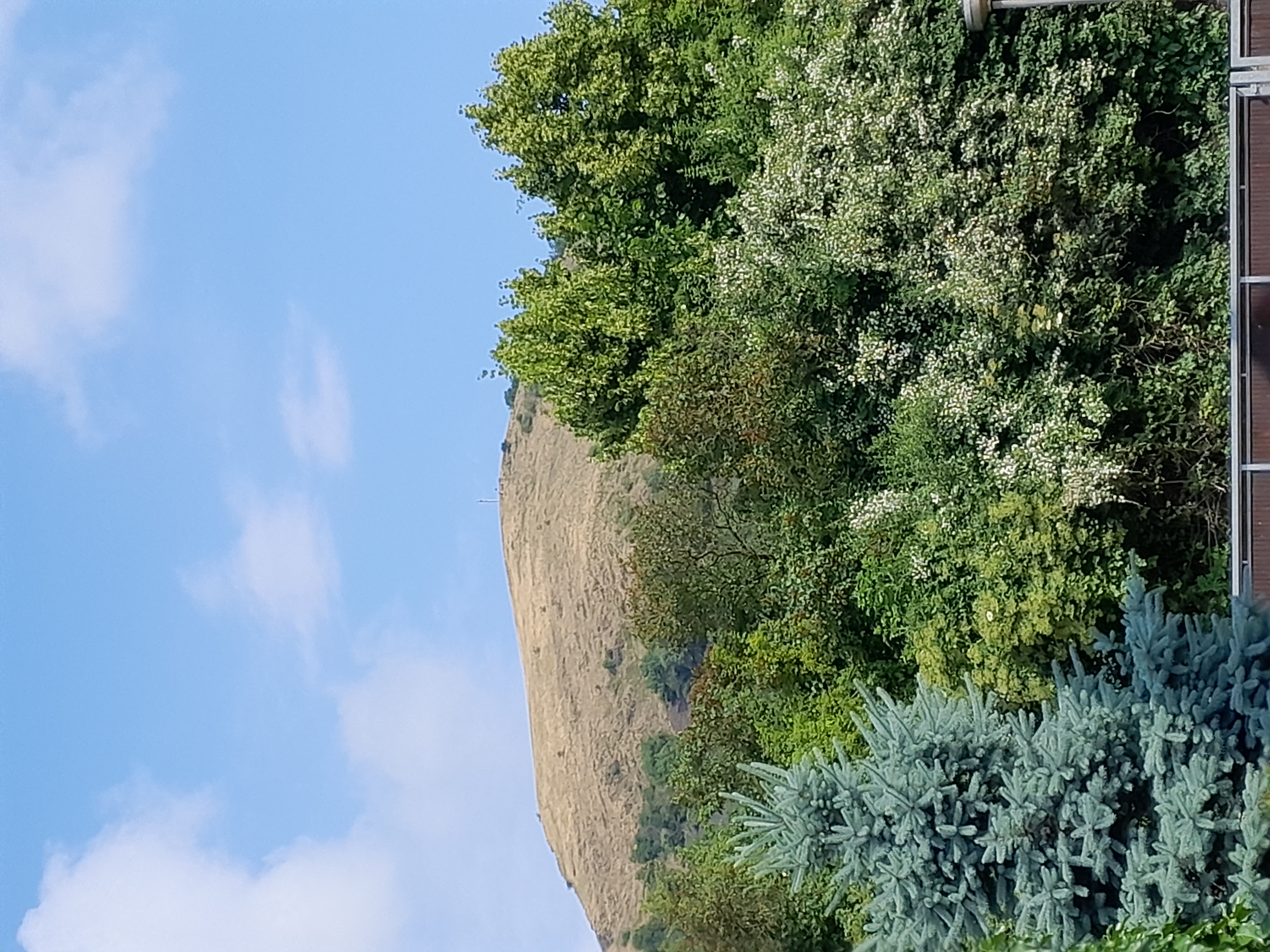 Penzion Labská Vyhlídka foto 3