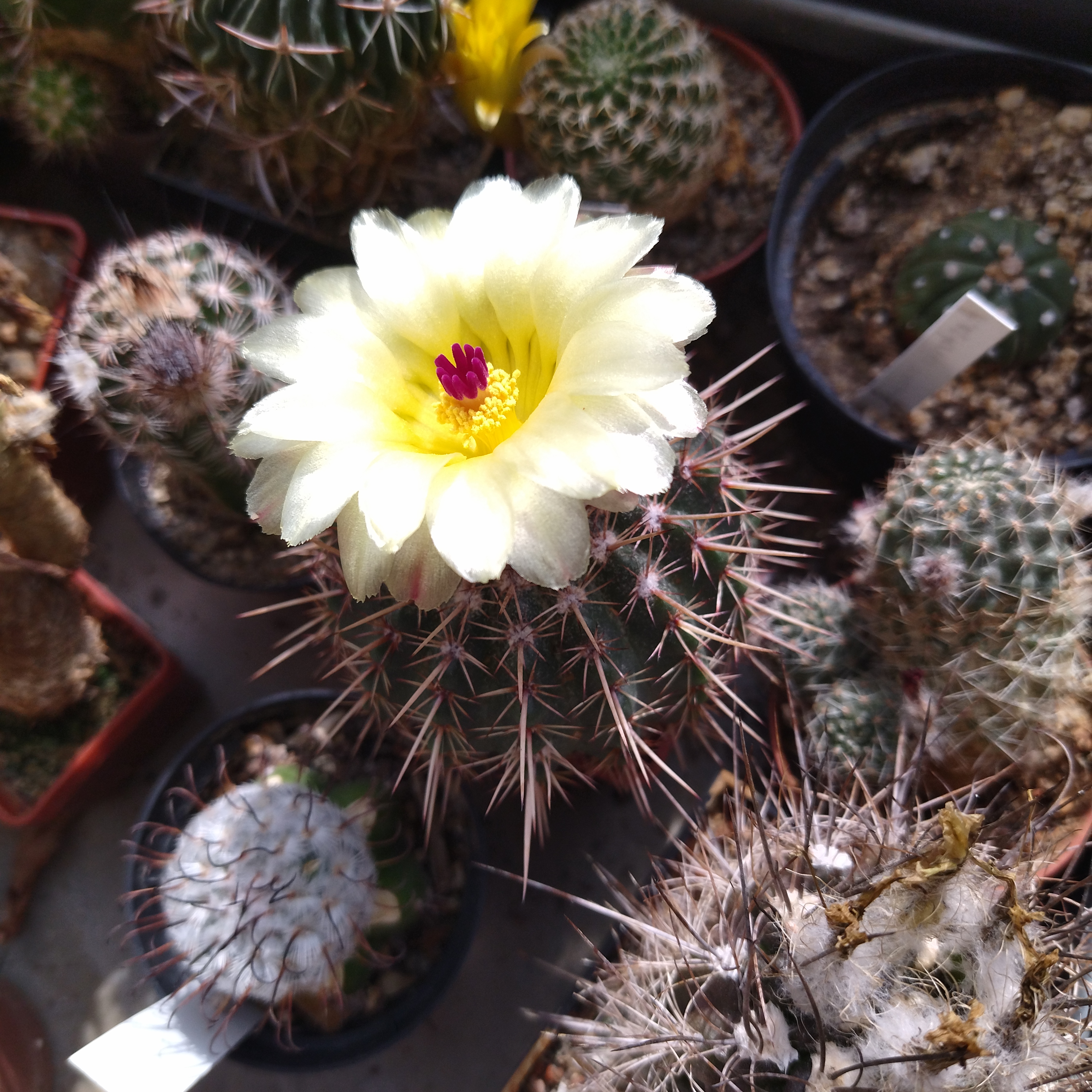 EXALAB Data Recovery foto 2