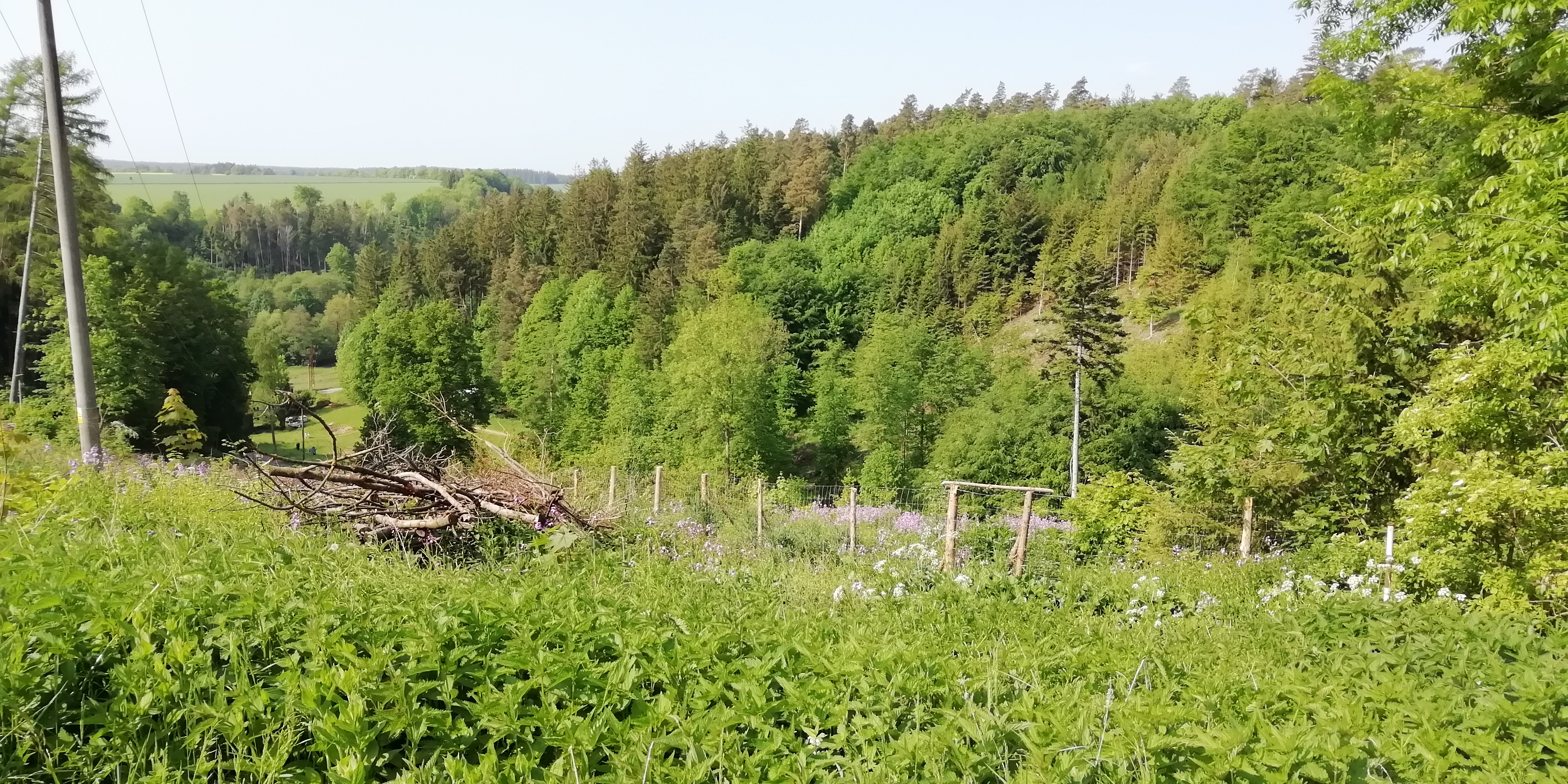 Rekreační zařízení Mladočov foto 2