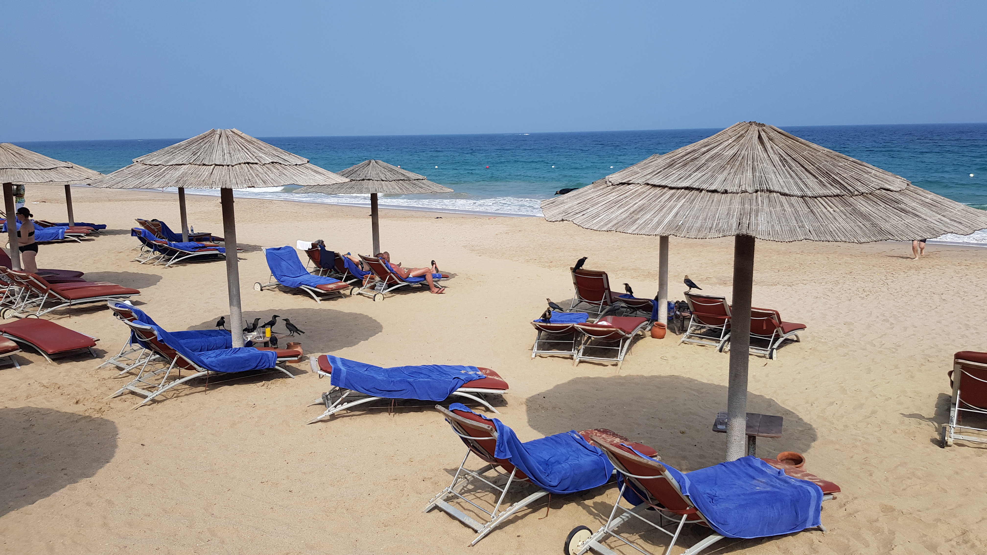 CK Blue Sky Travel foto 4