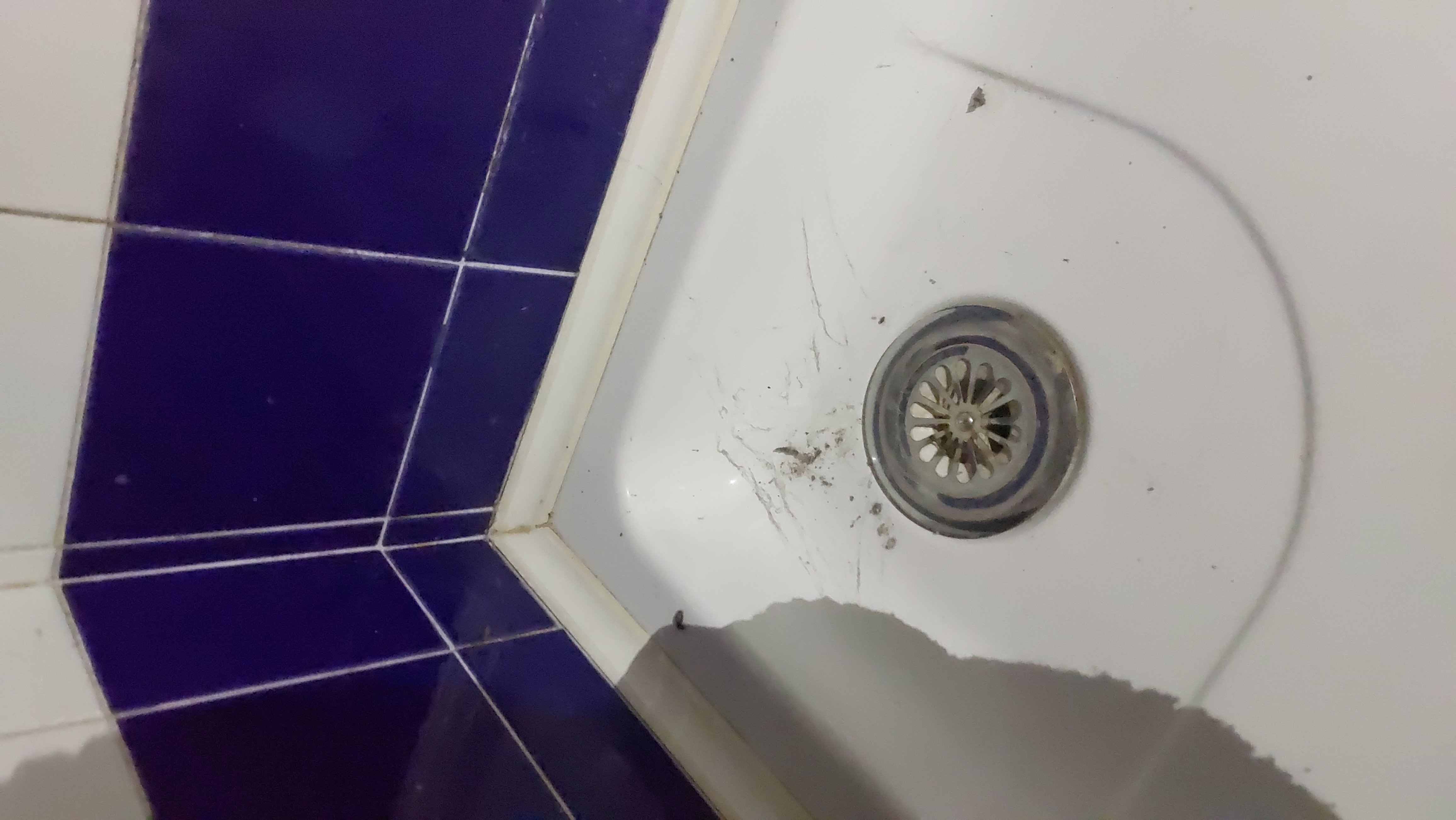 Penzion Pyšelka foto 5