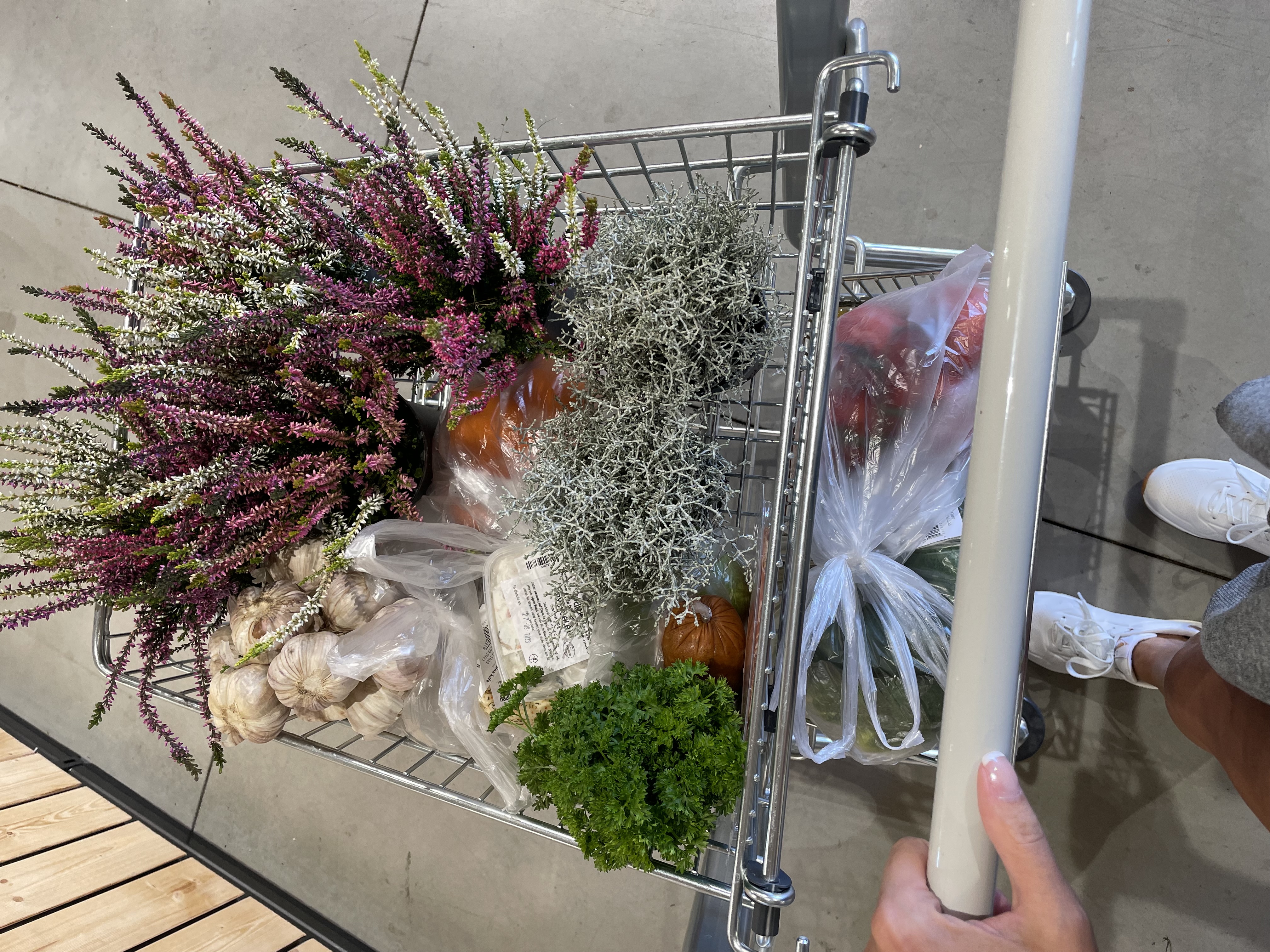 Rodinná farma Hrdlička foto 3