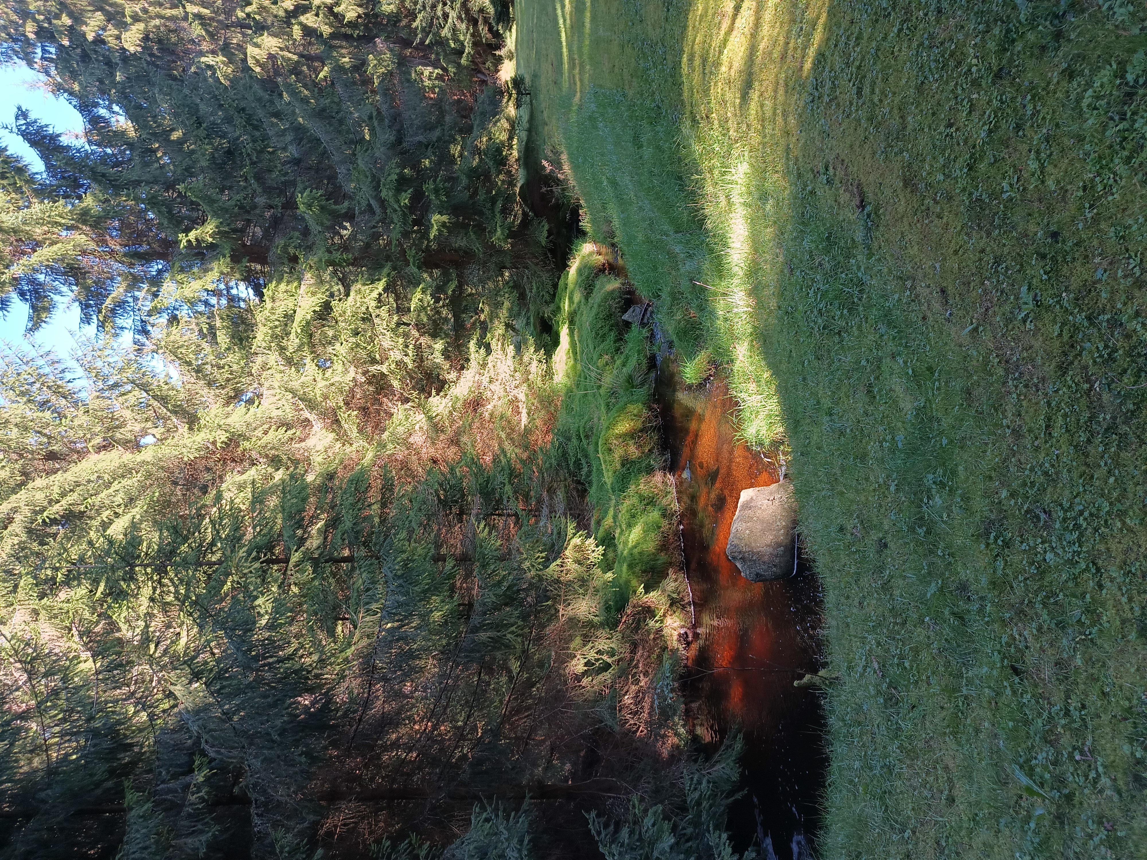 Chaloupka U Trnků foto 4