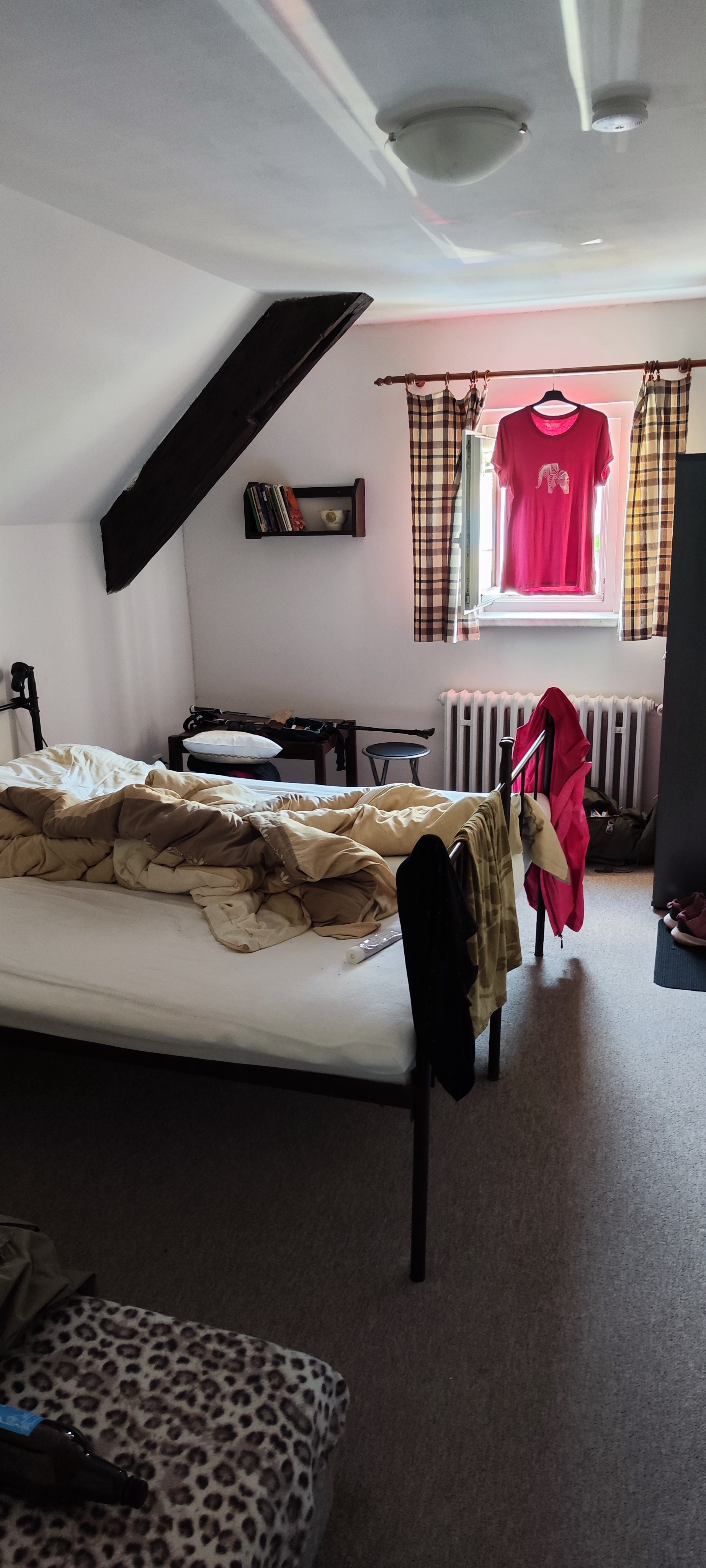 Penzion-Chyše foto 5