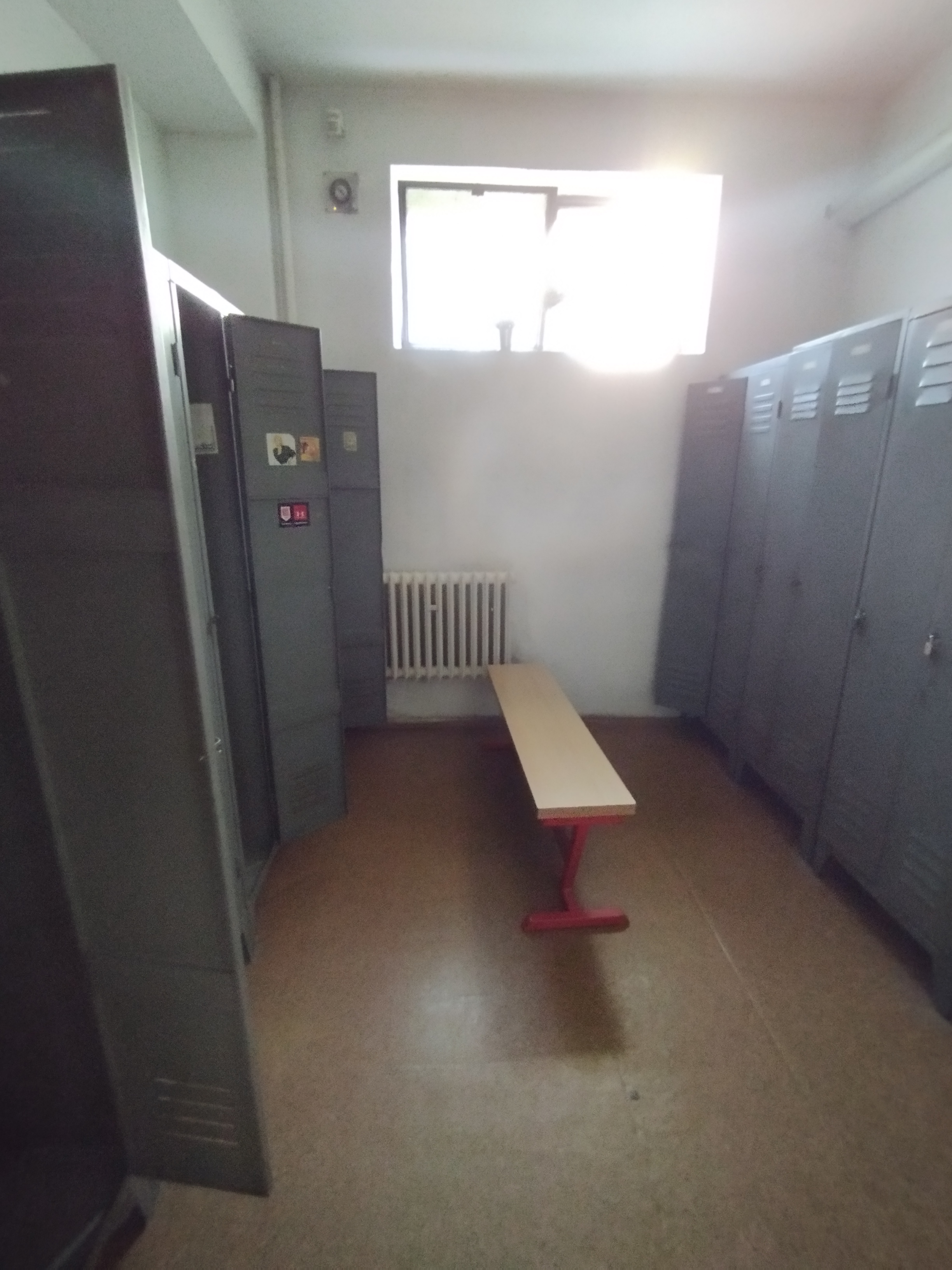 Davidovo Fitko foto 6