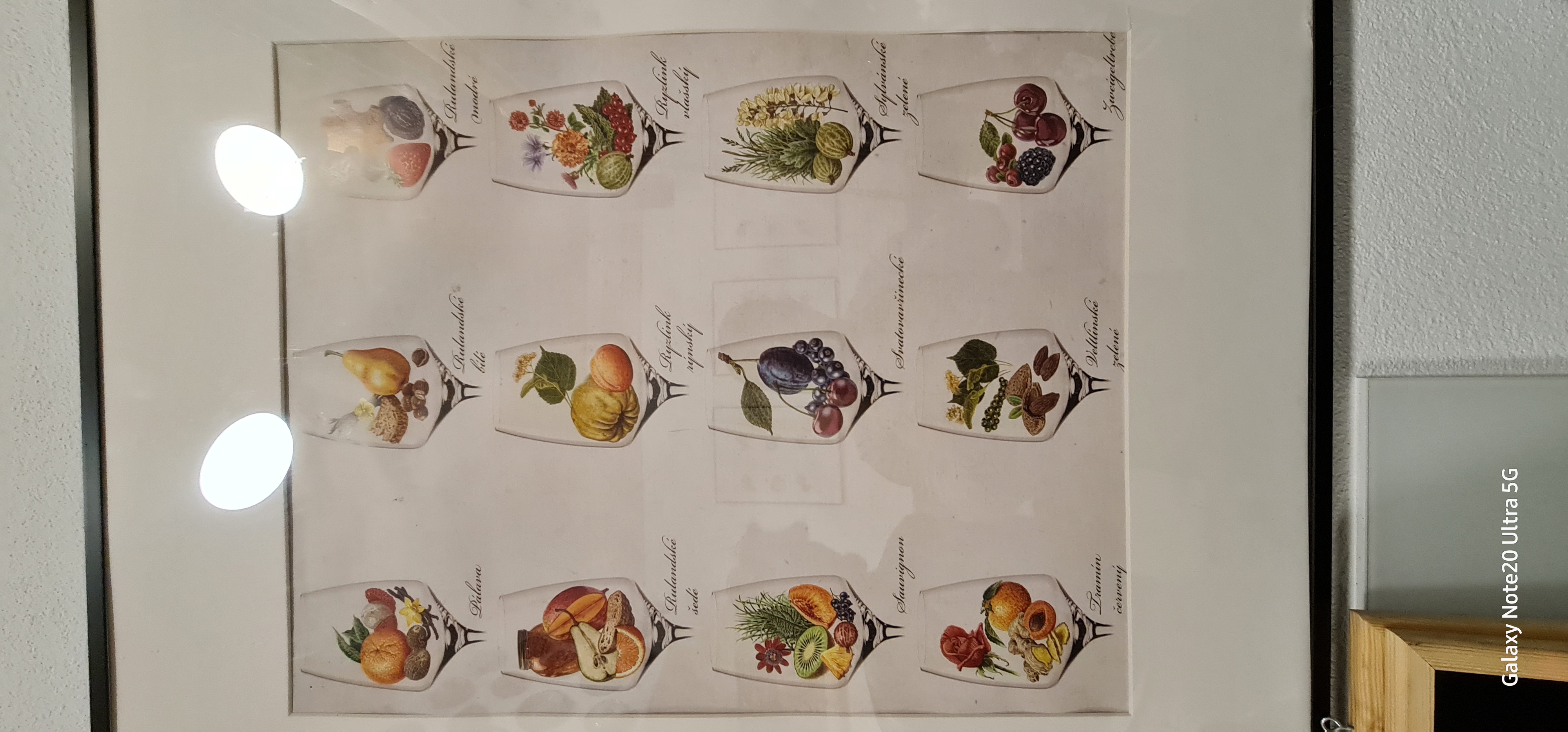 Penzion Šaldorf foto 3