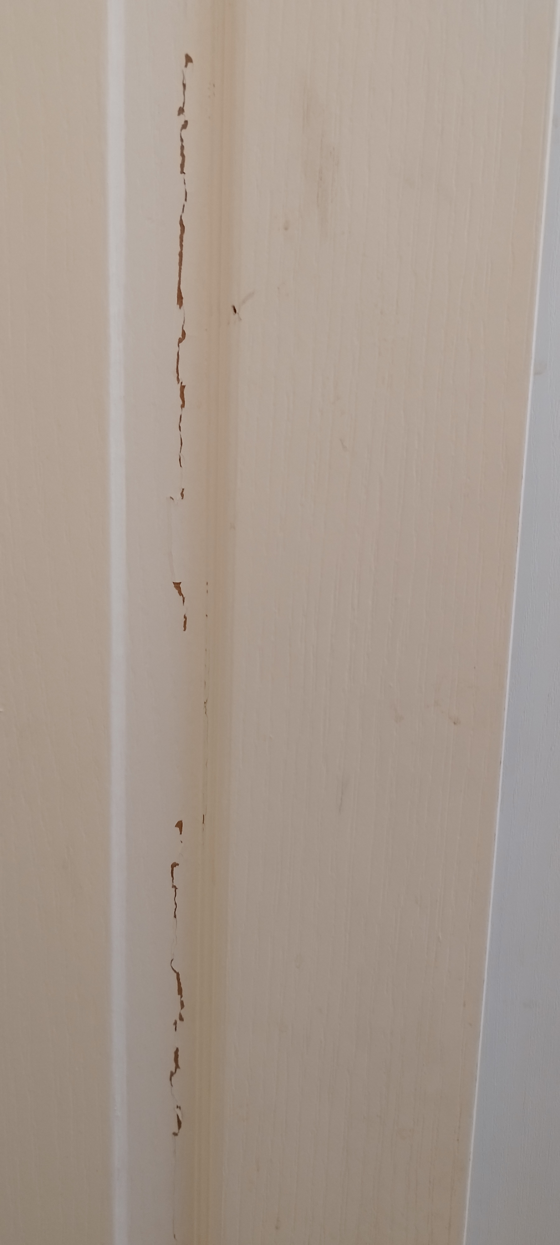 Hotel U Salzmannů foto 6