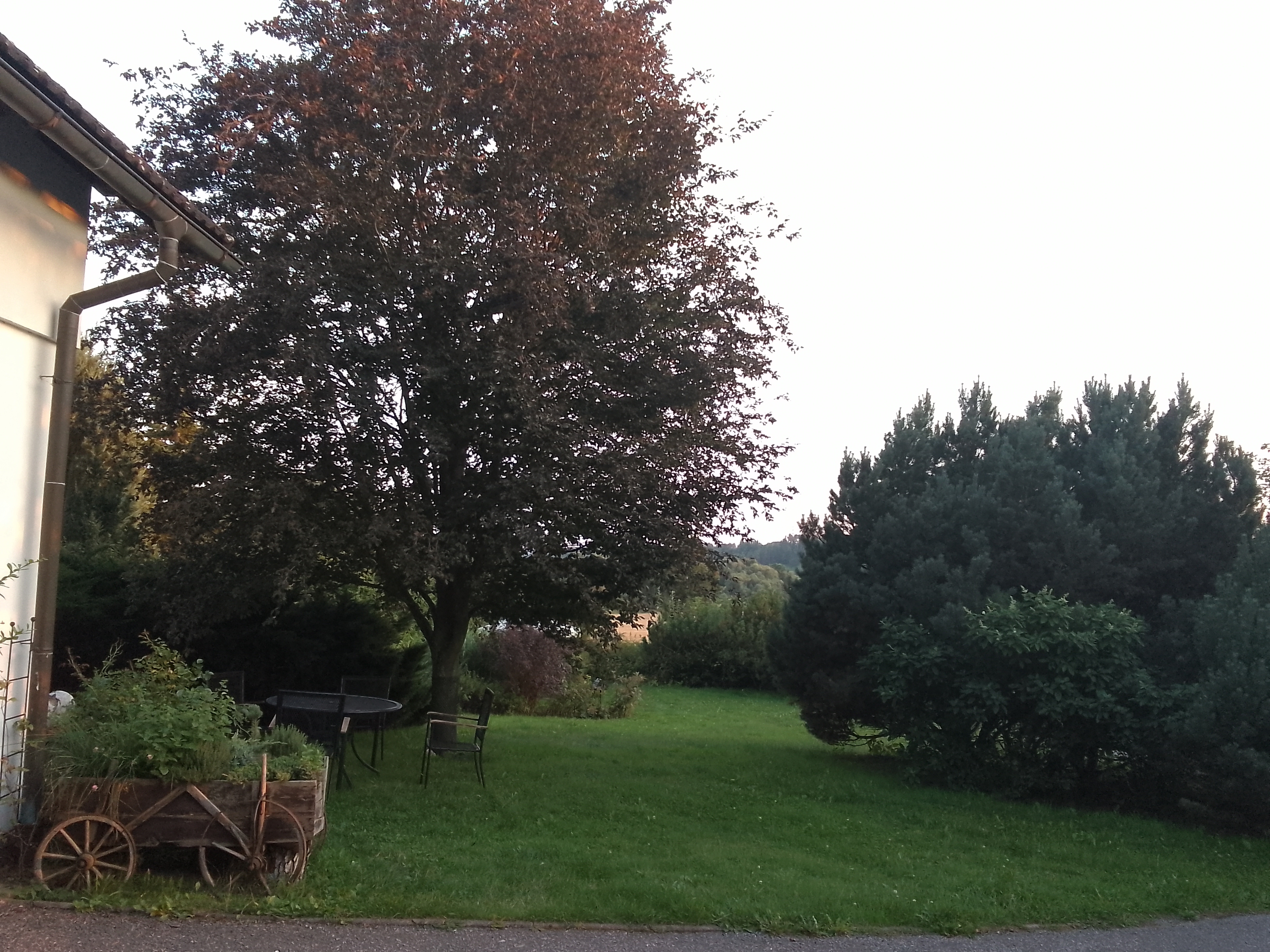 Ubytování Lestkov 92 foto 6