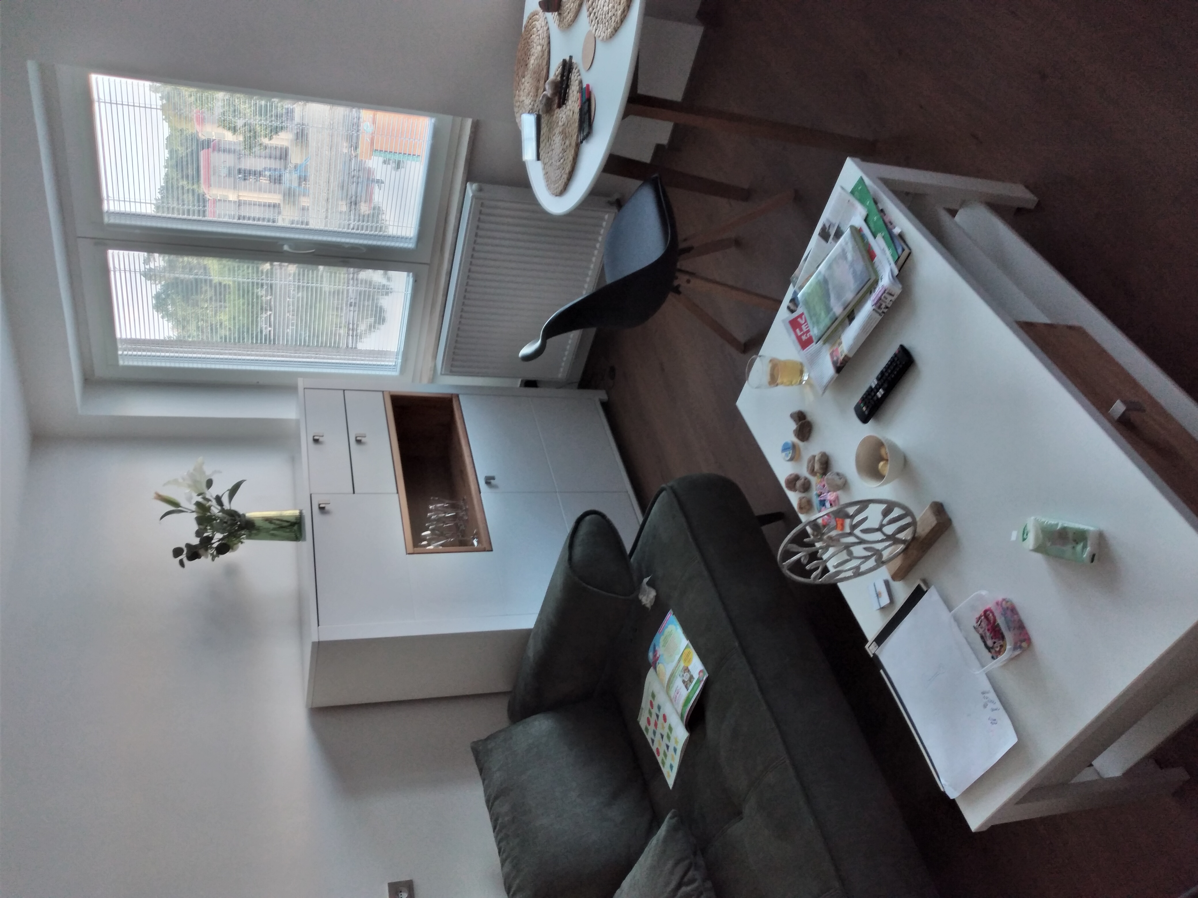 Apartmán U Labe foto 4