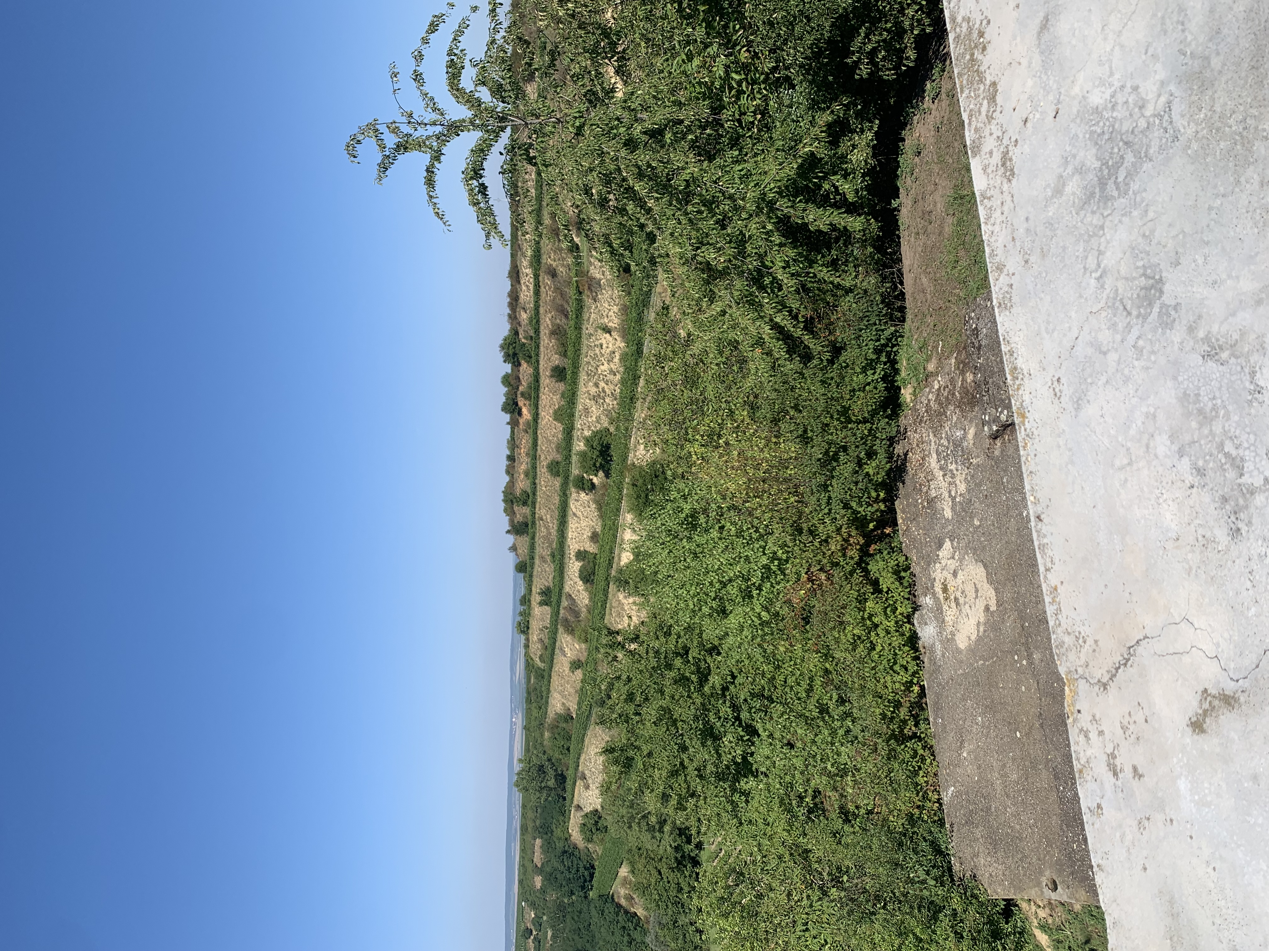 Nad Vinným Sklípkem foto 3