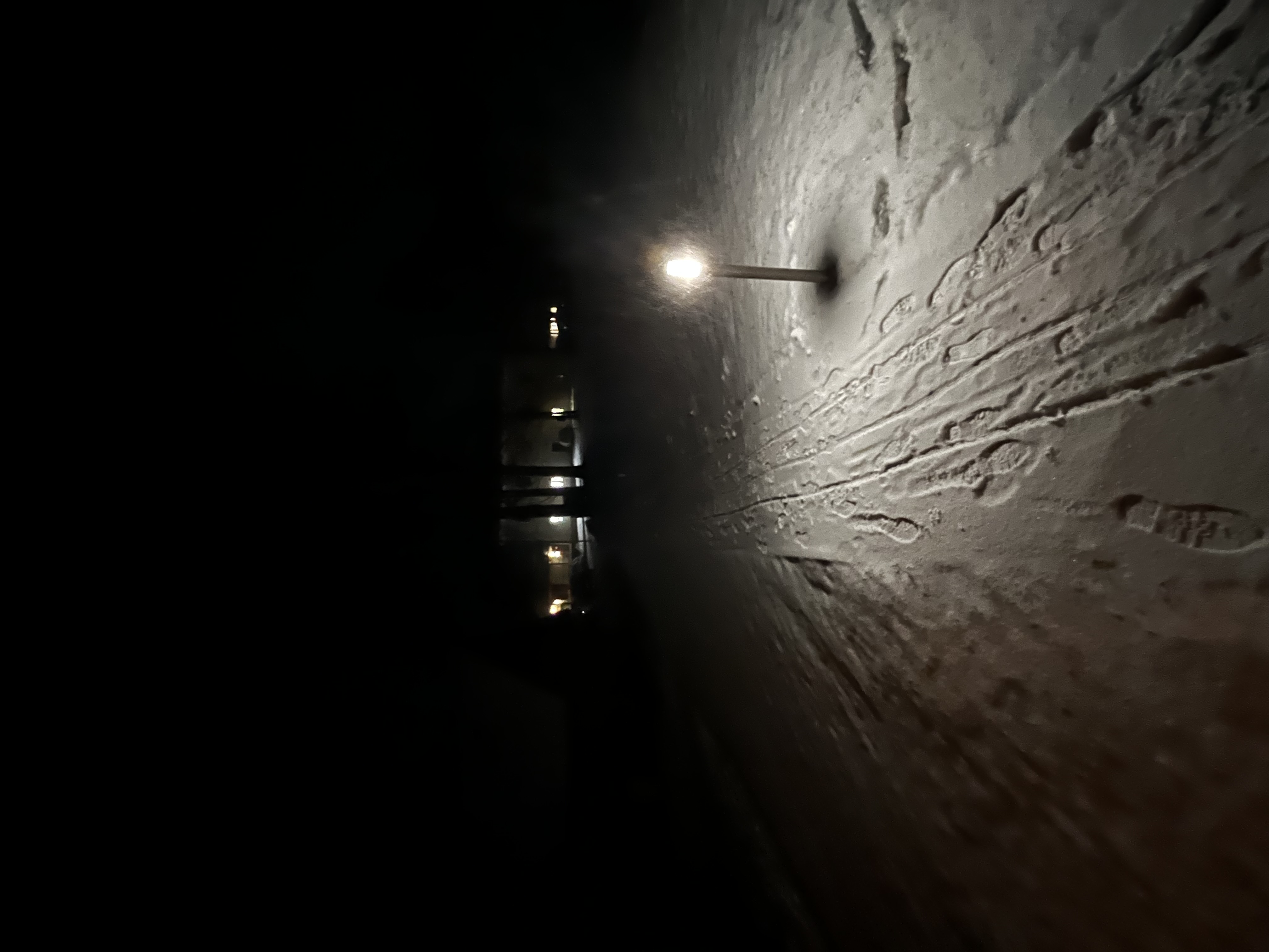 Líšenský Dvůr, s.r.o. foto 6