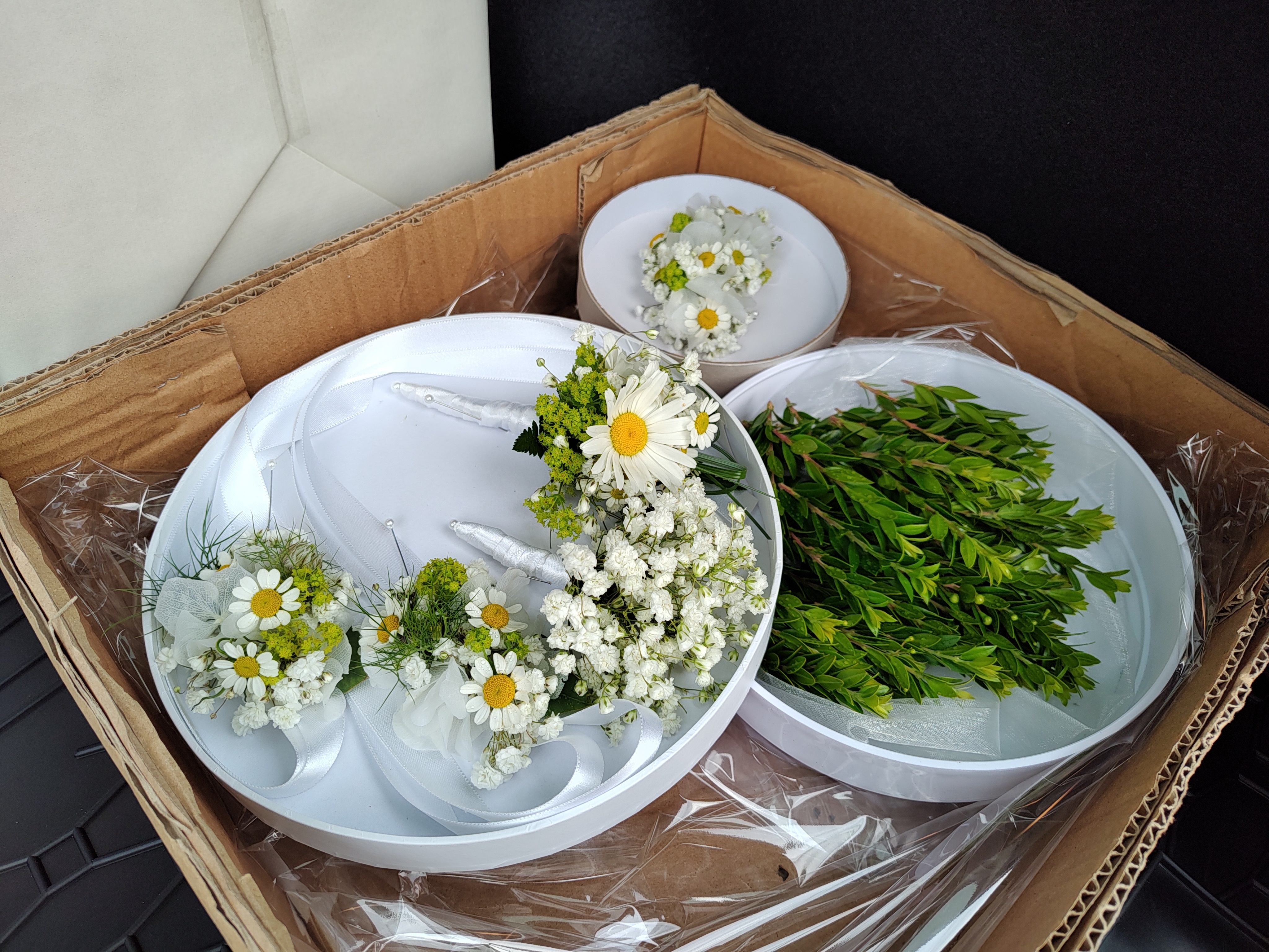 Monika Frajerová - Banksia foto 2