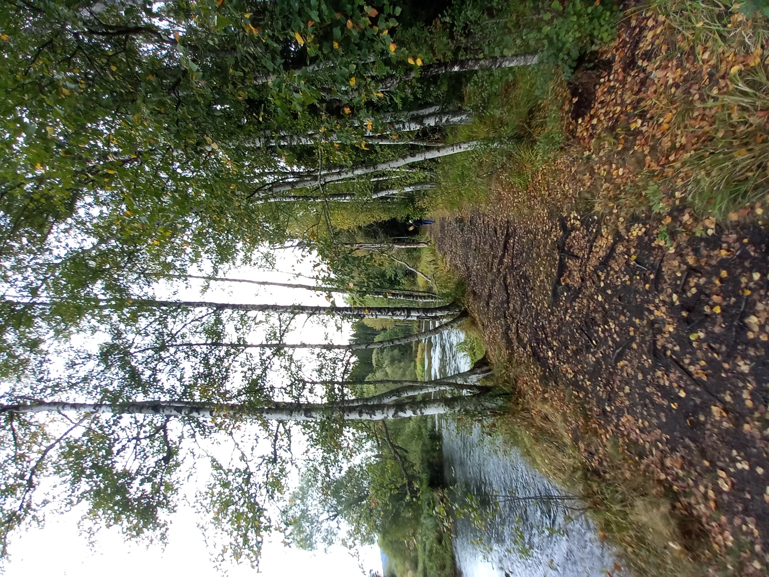 Penzion Kubovka 63 foto 3