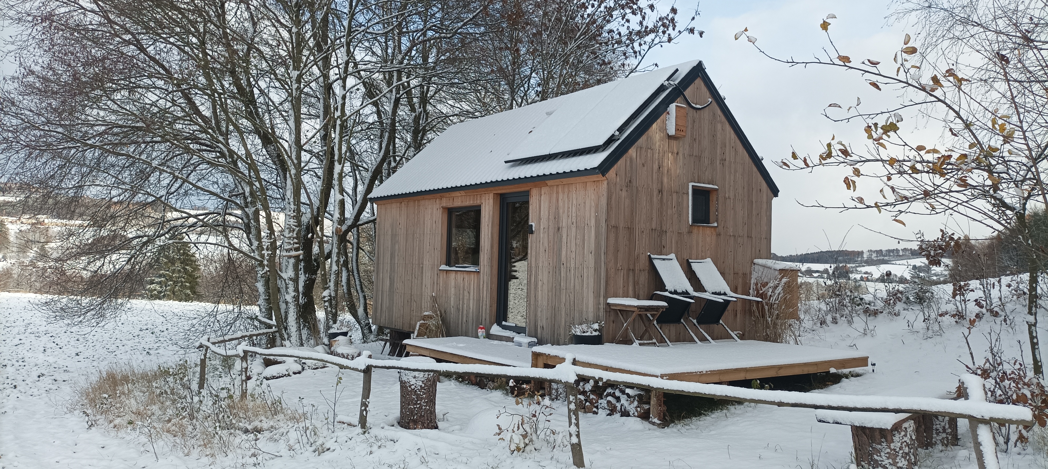 Včelí leháro foto 6