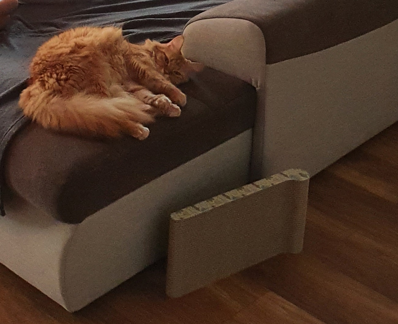 MVDr. Pavel Vaškovský foto 3