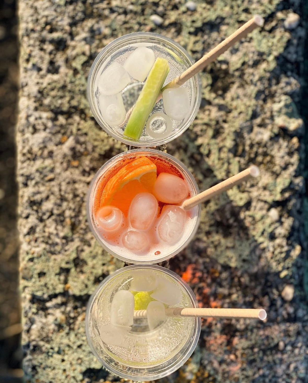 The Gym House foto 5