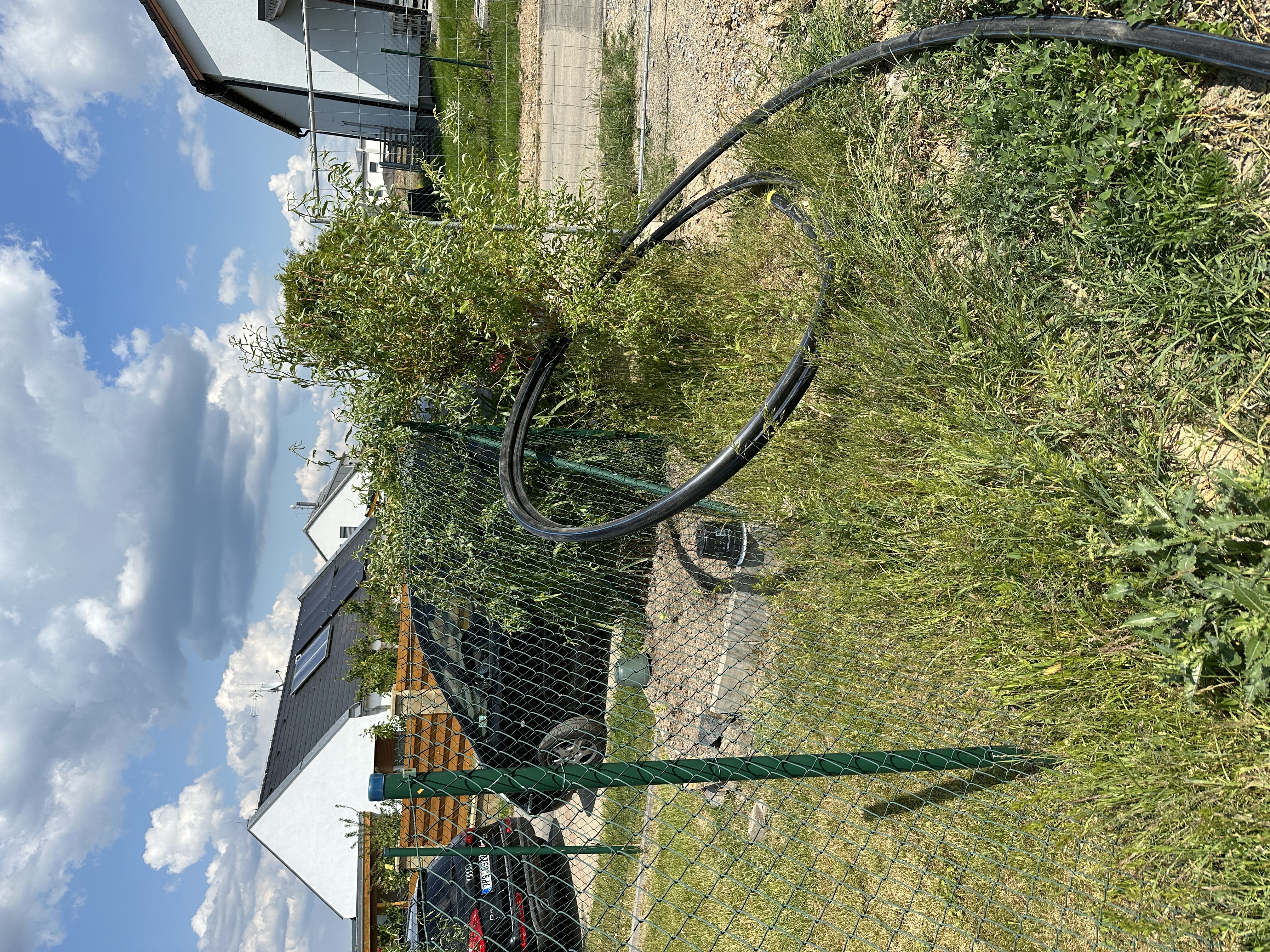 MIRAS - stavitelství a sanace, s.r.o. foto 5