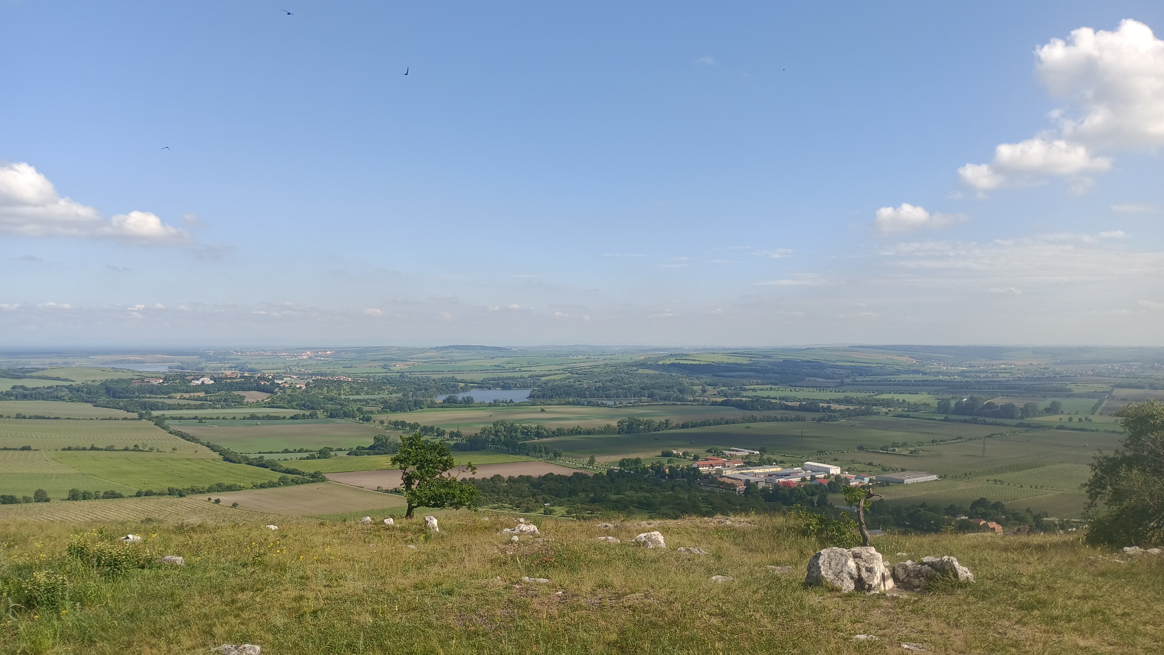 Penzion Pod Vinicí foto 6