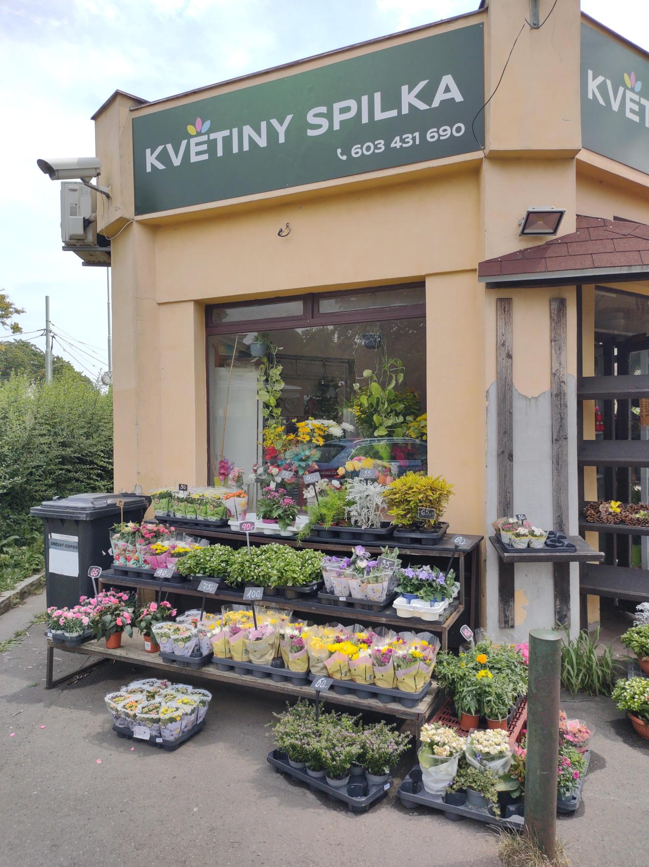 Květiny Spilka Zuzana Nevrlá foto 4