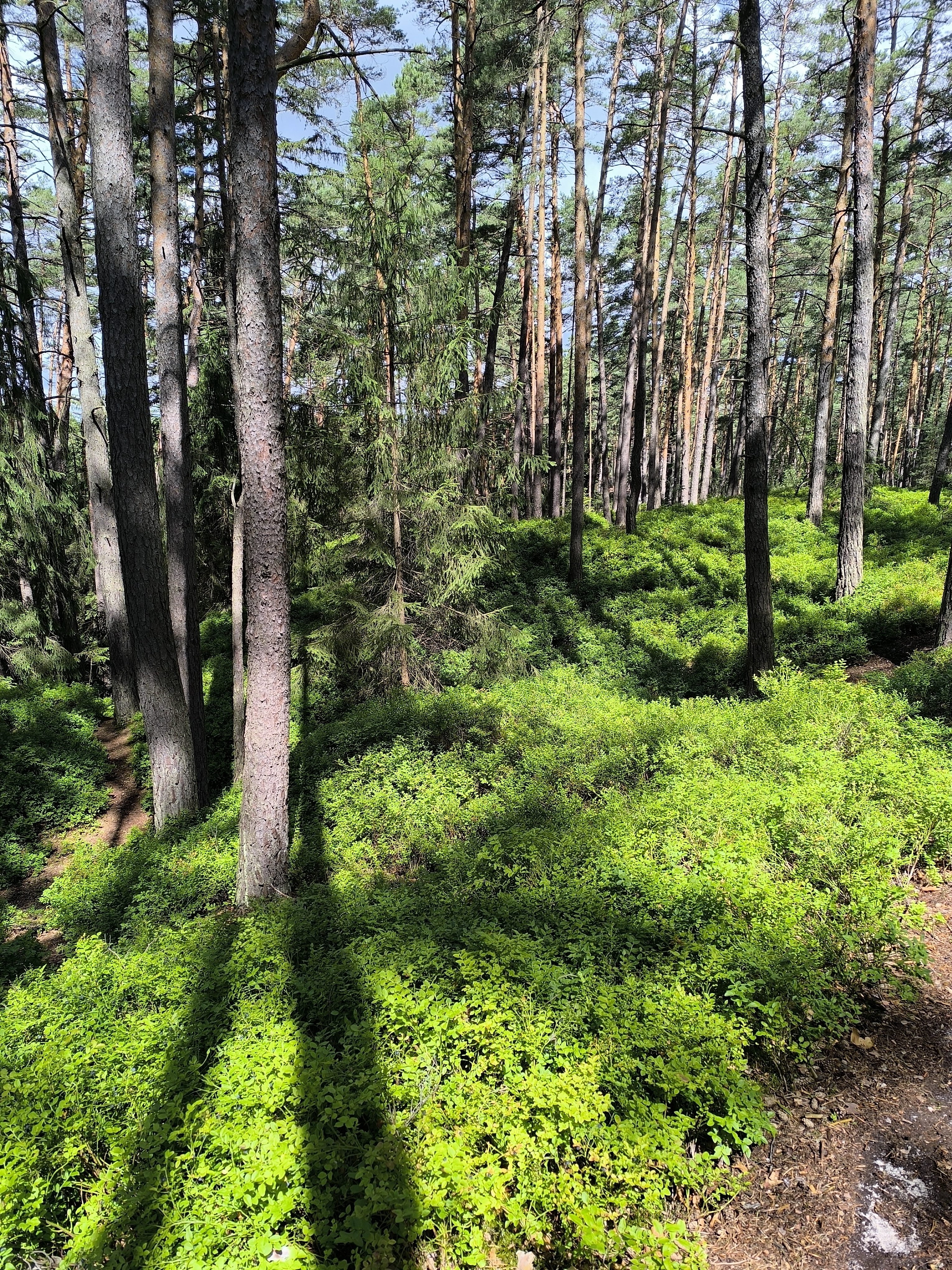 Chatová osada Poříčí foto 3